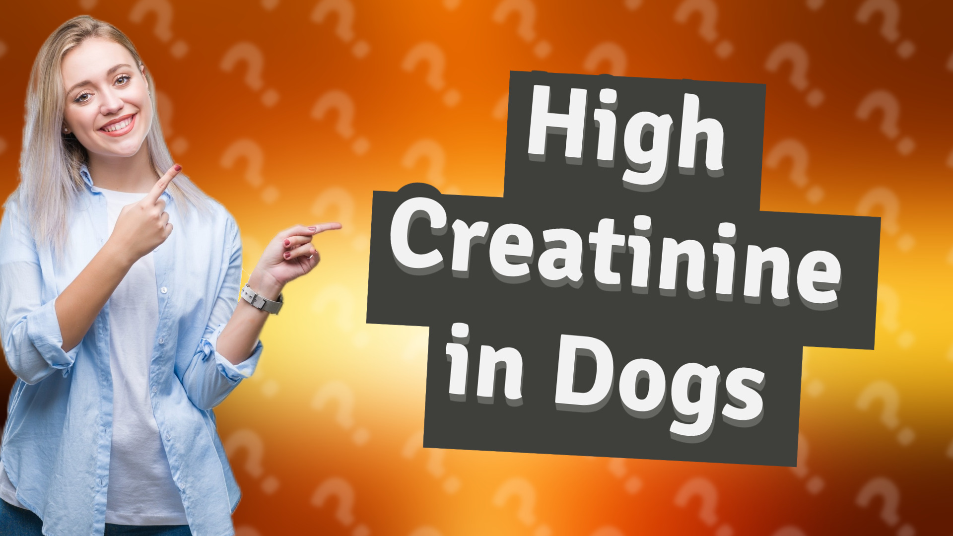High Creatinine in Dogs