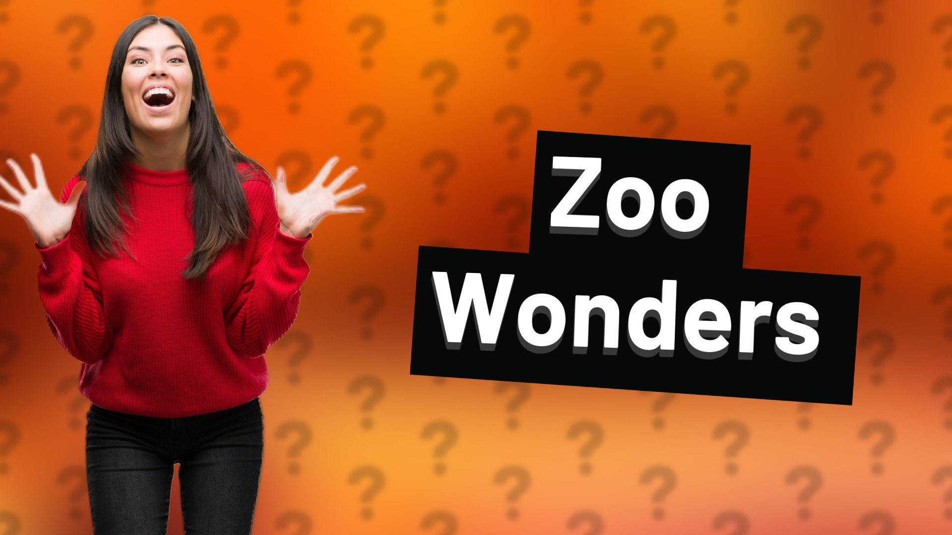 Zoo Wonders