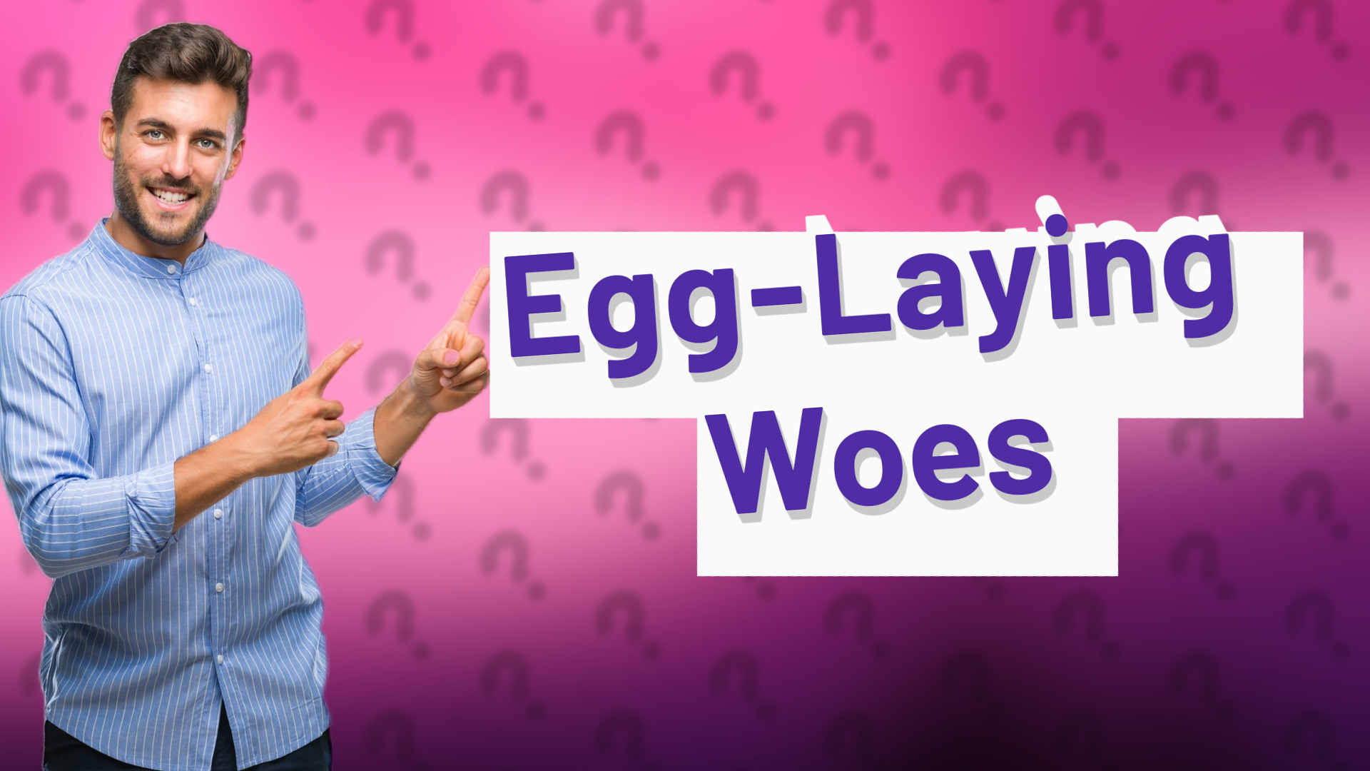 Egg-Laying Woes