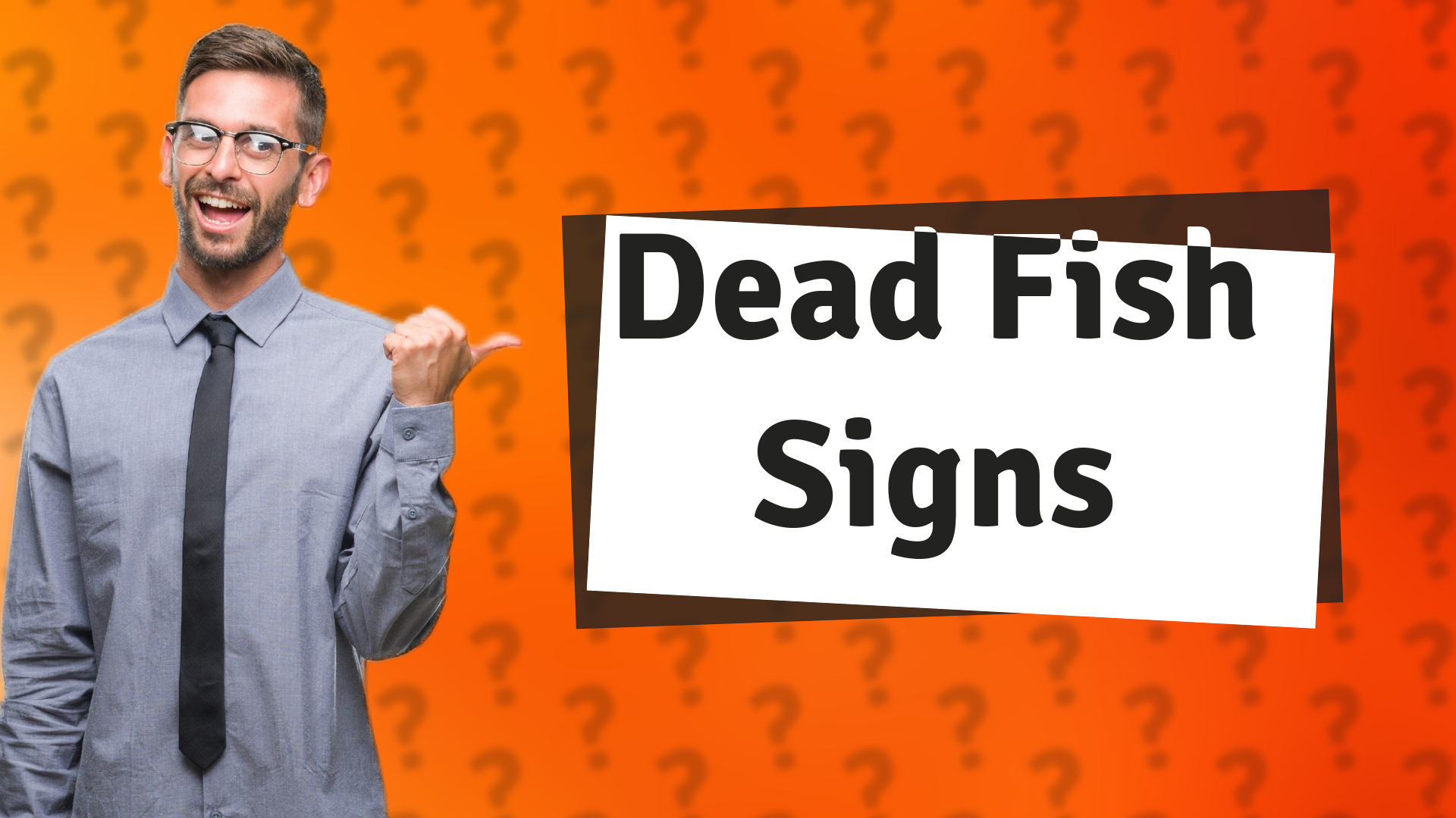 Dead Fish Signs