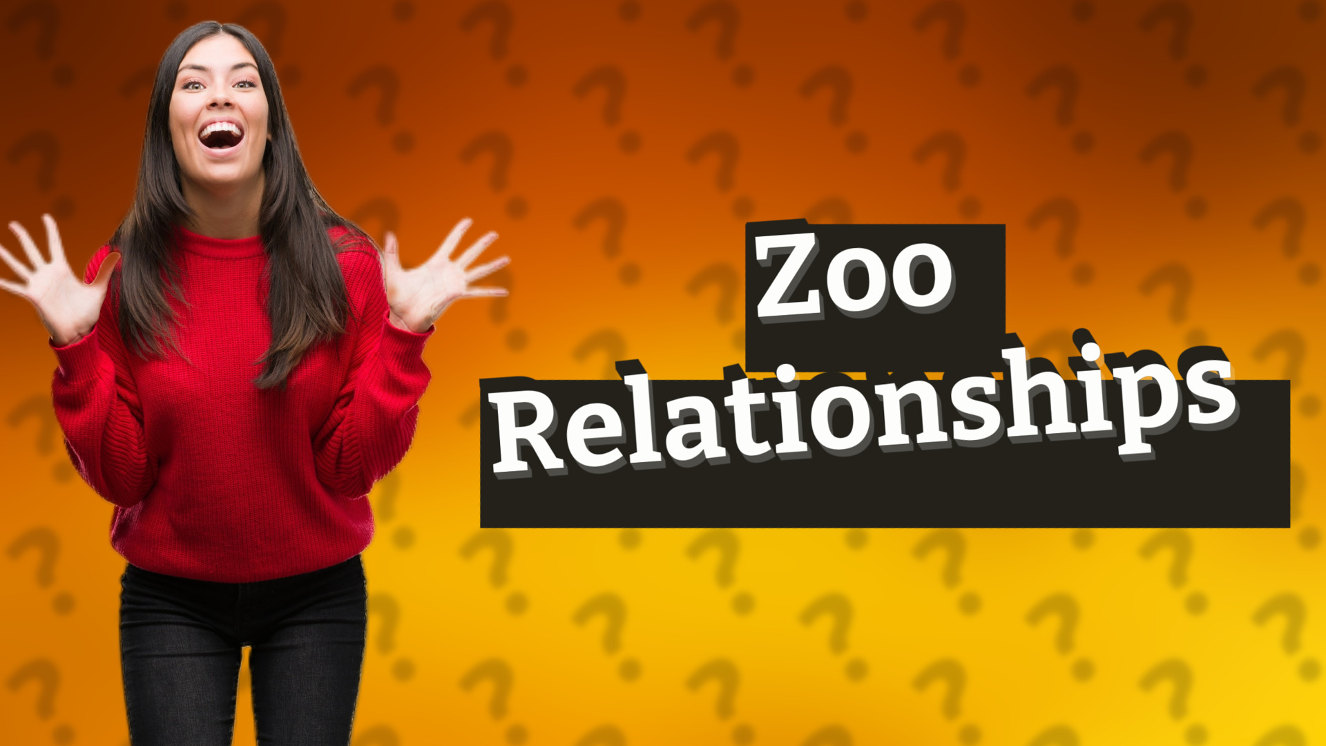 Zoo Relationships