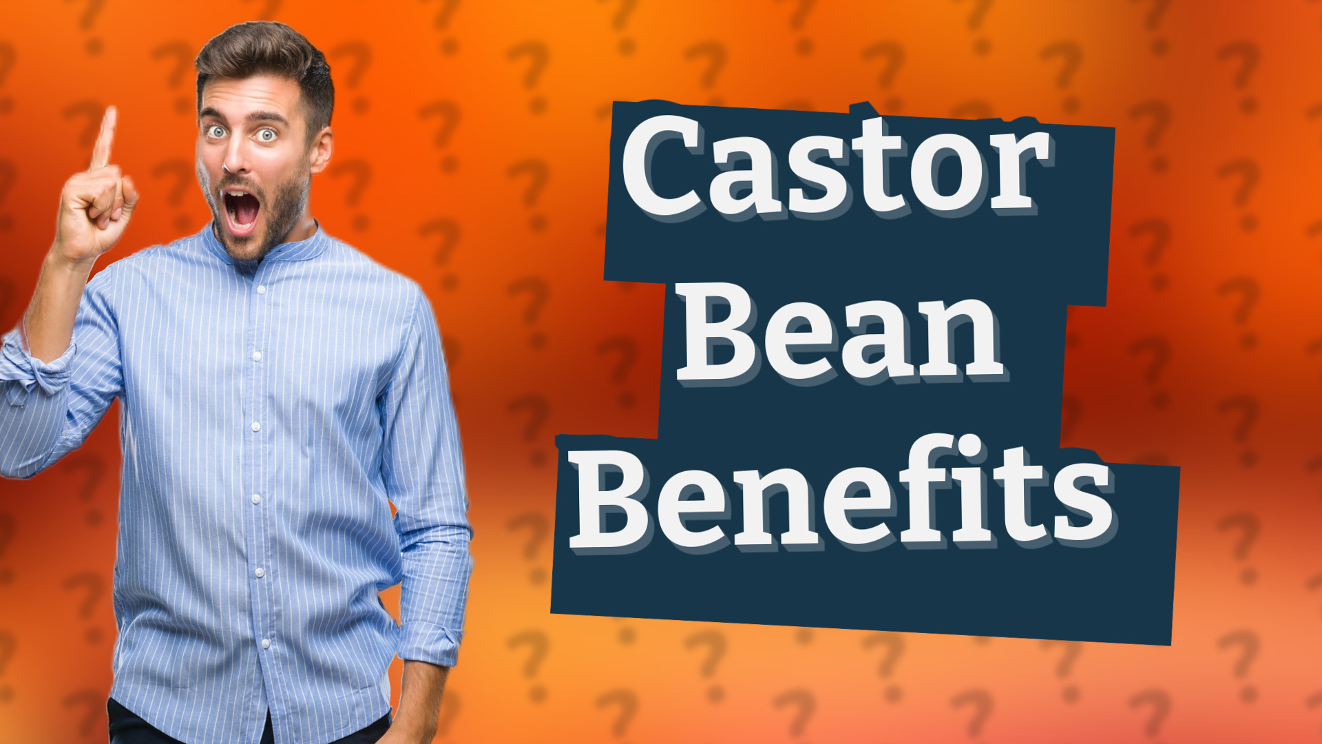 Castor Bean Benefits
