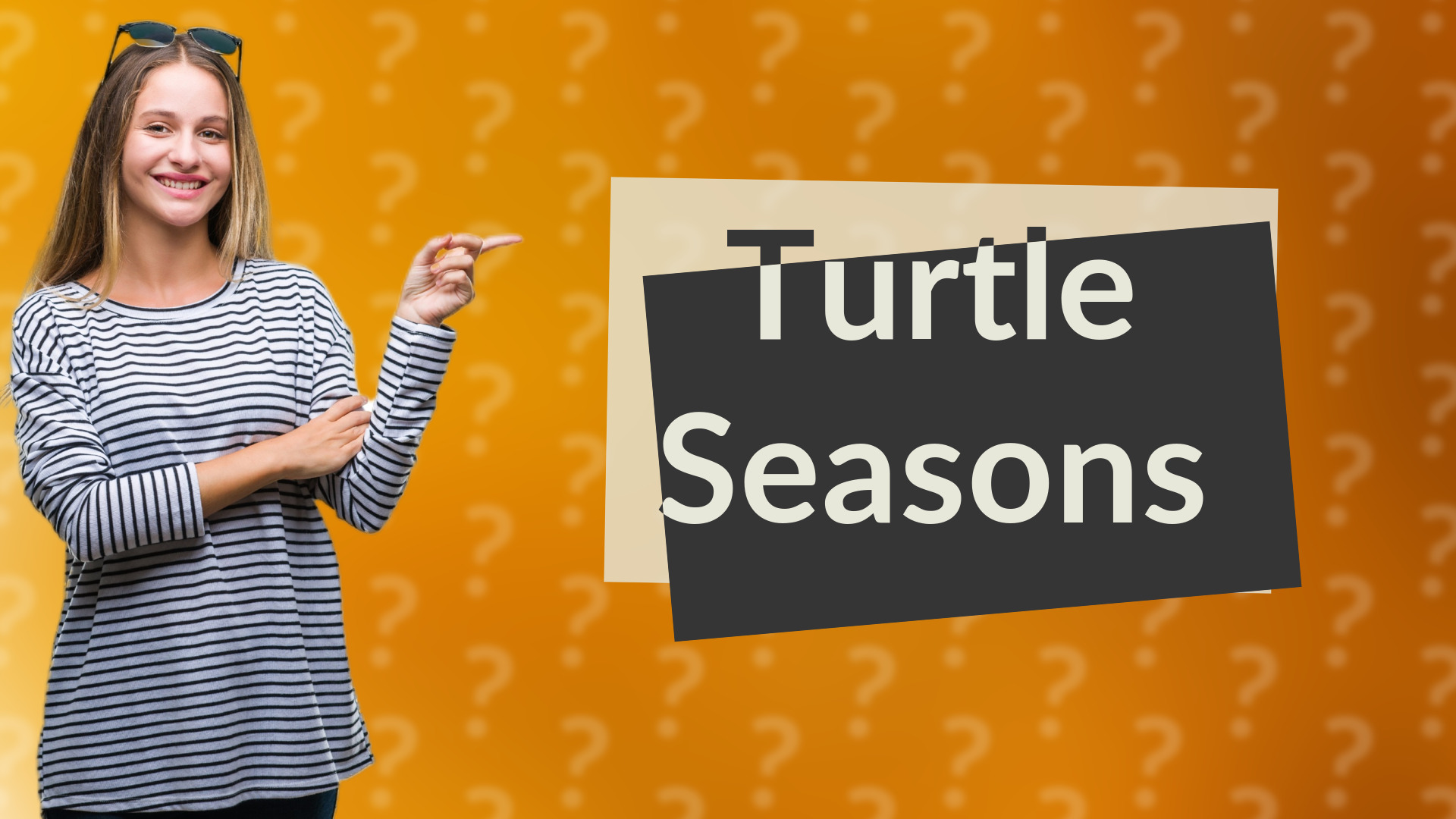 Turtle Seasons