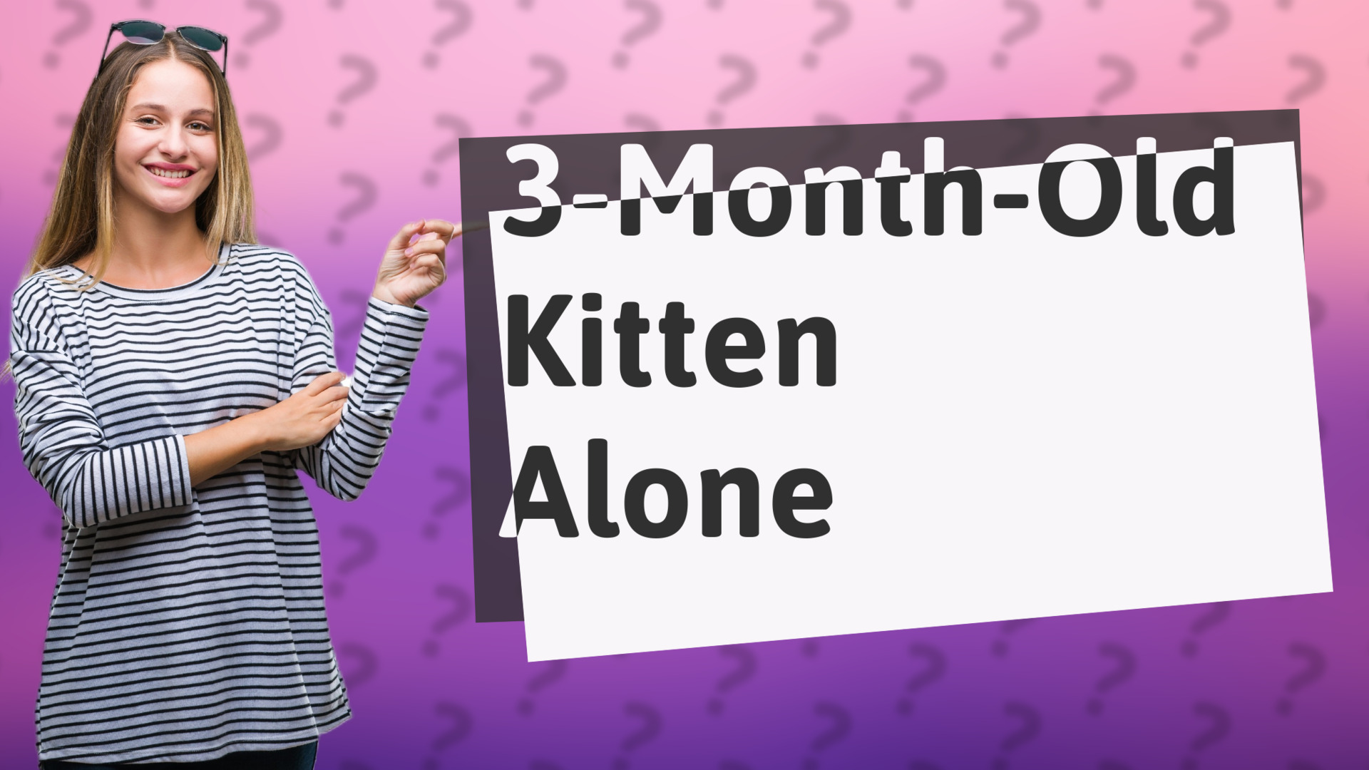 3-Month-Old Kitten Alone