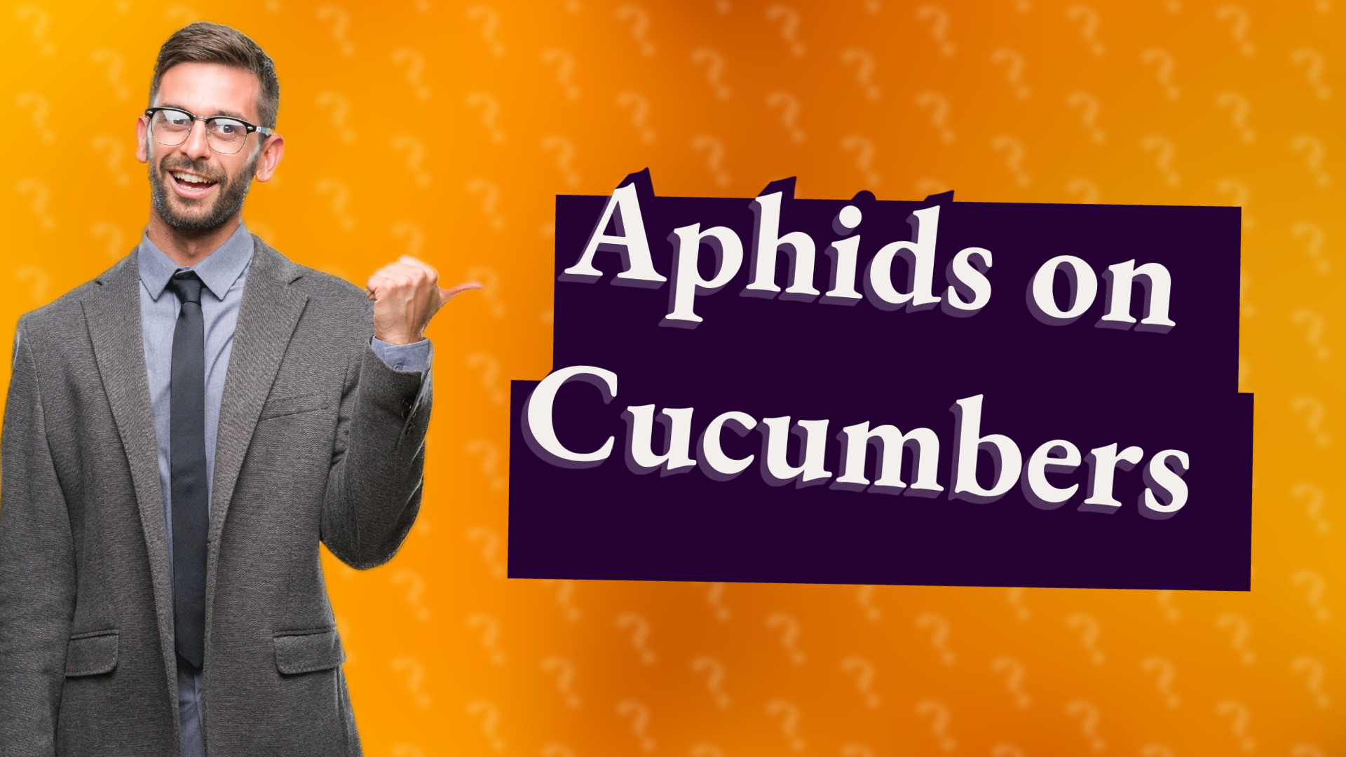 Aphids on Cucumbers