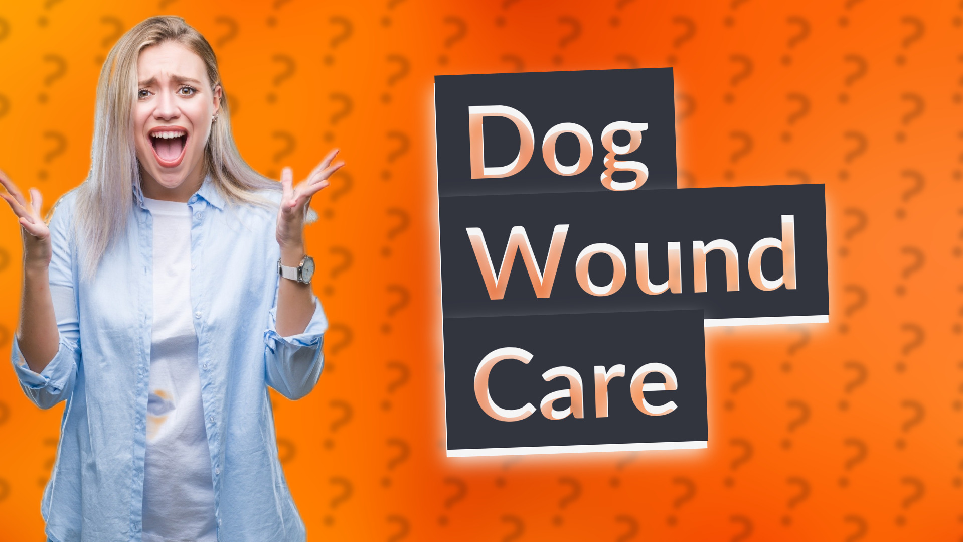 Dog Wound Care