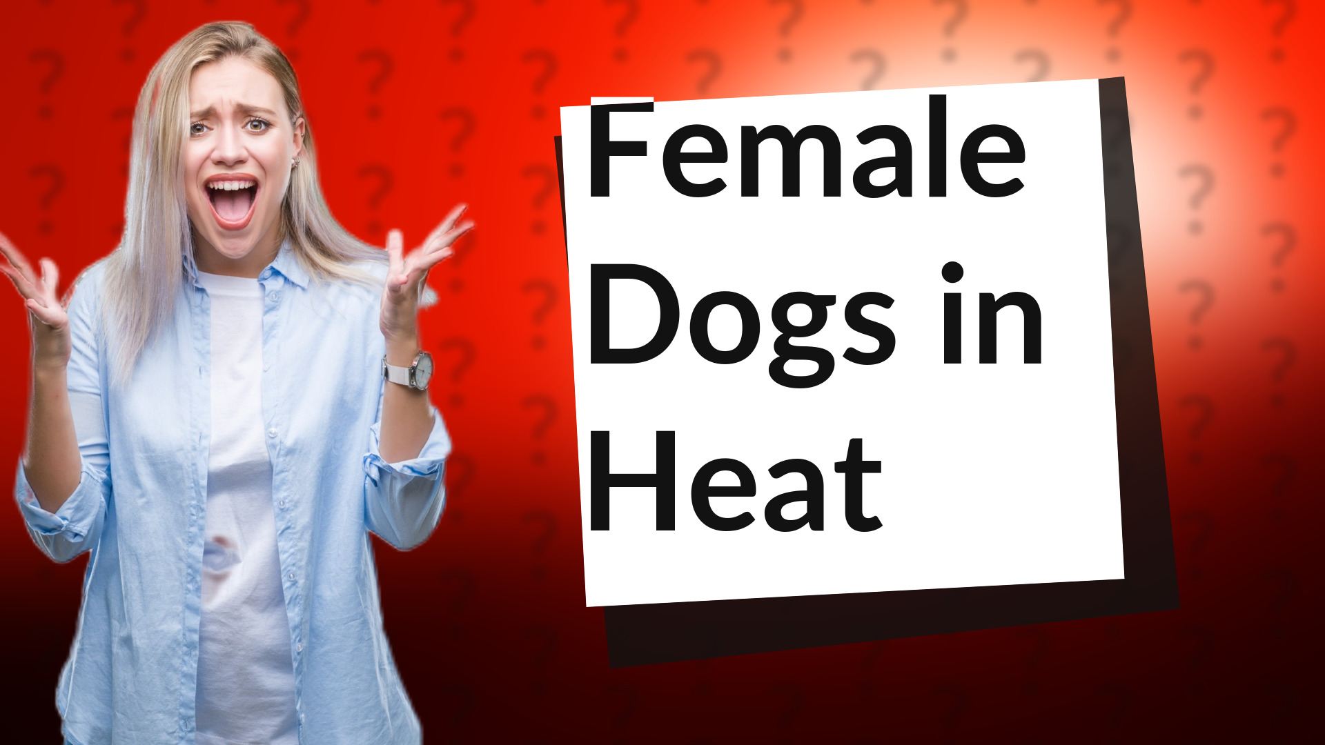 Female Dogs in Heat