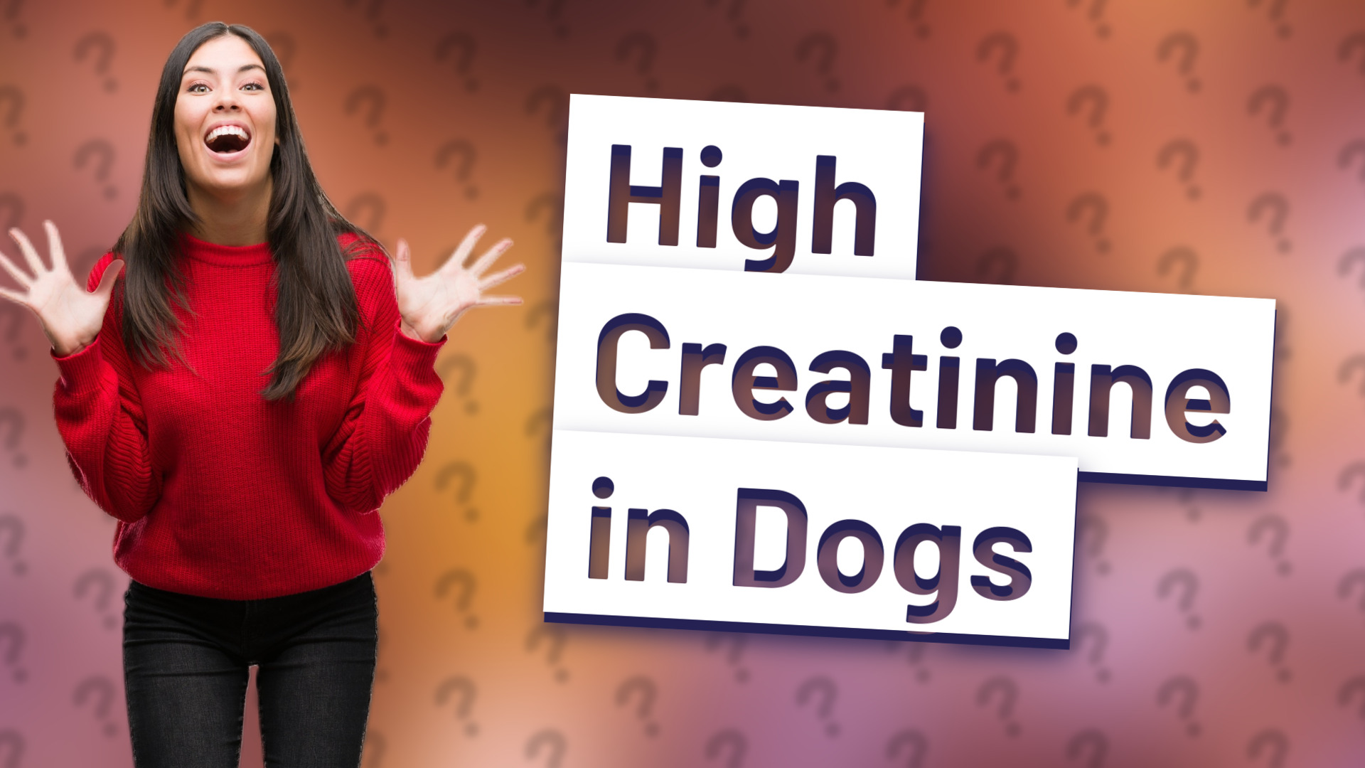High Creatinine in Dogs