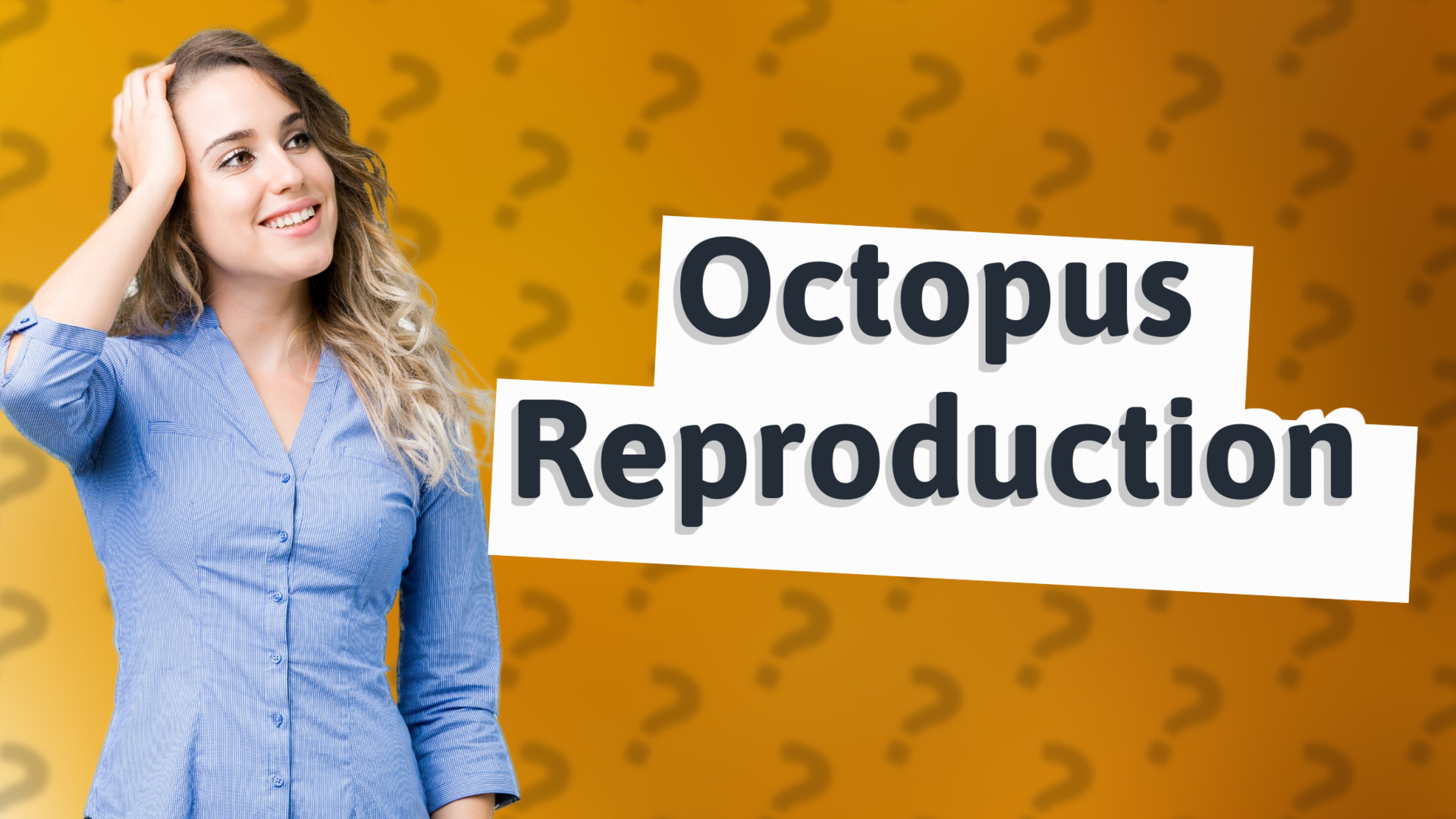 Octopus Reproduction