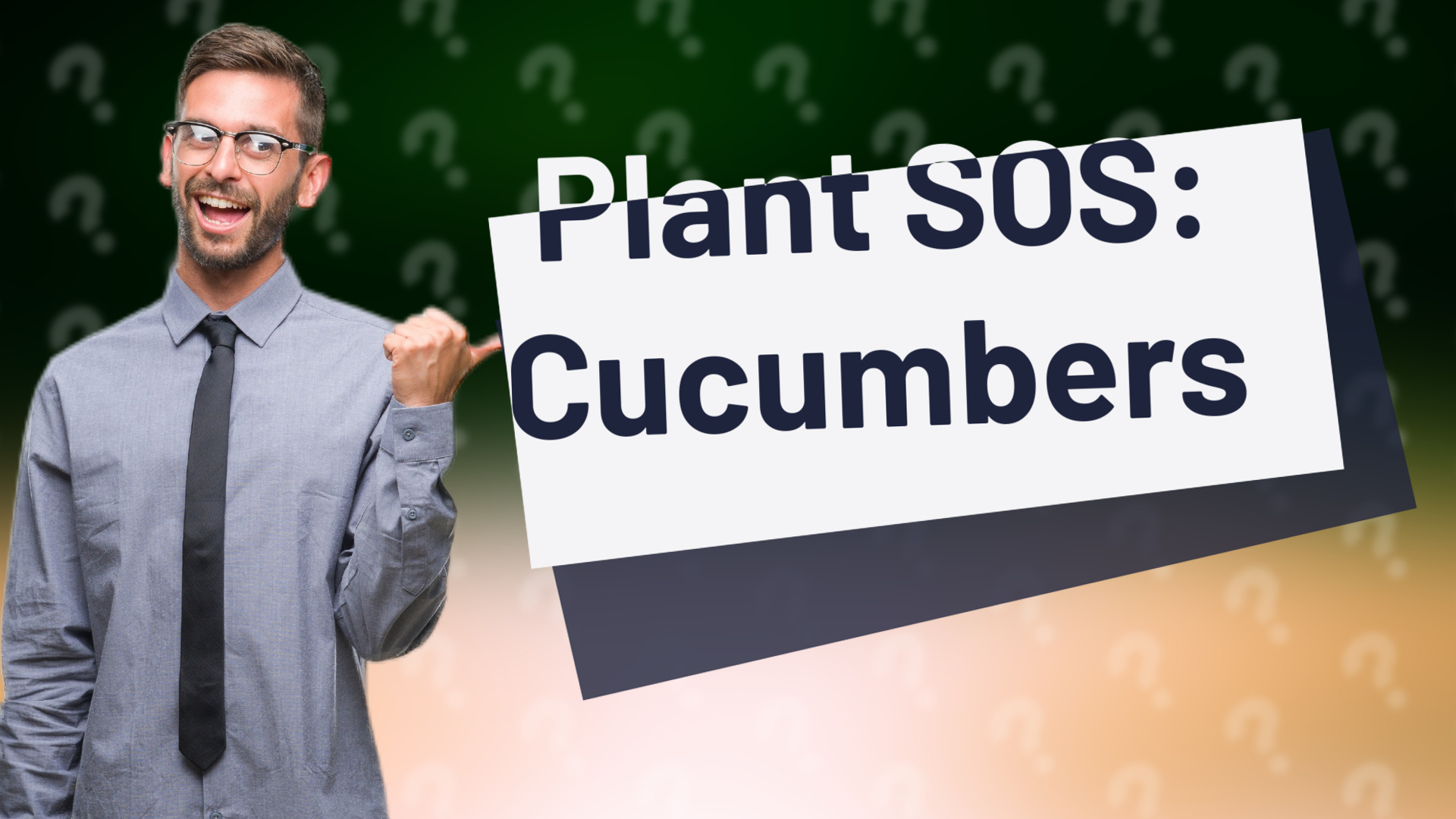 Plant SOS: Cucumbers