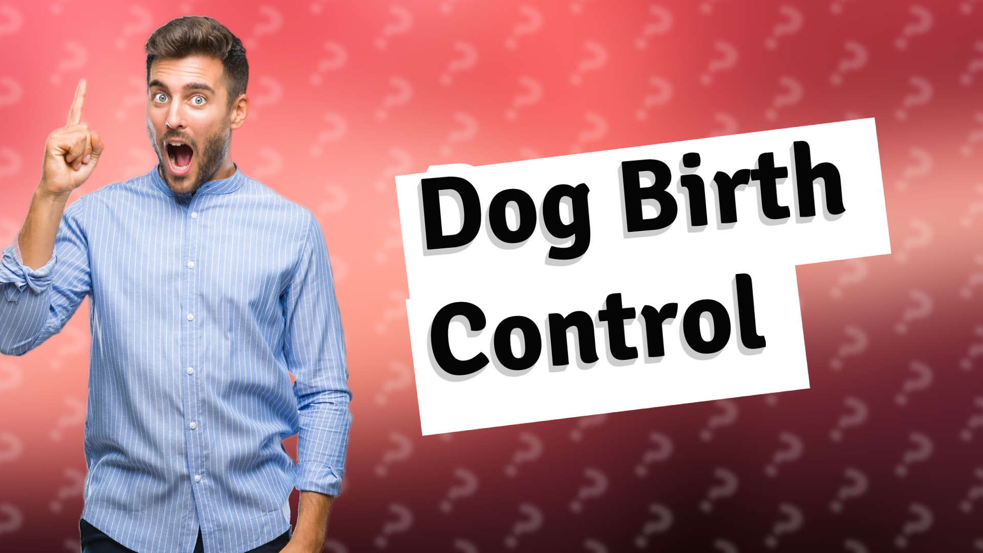 Dog Birth Control