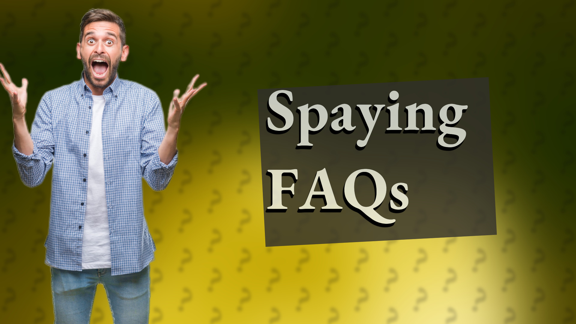 Spaying FAQs