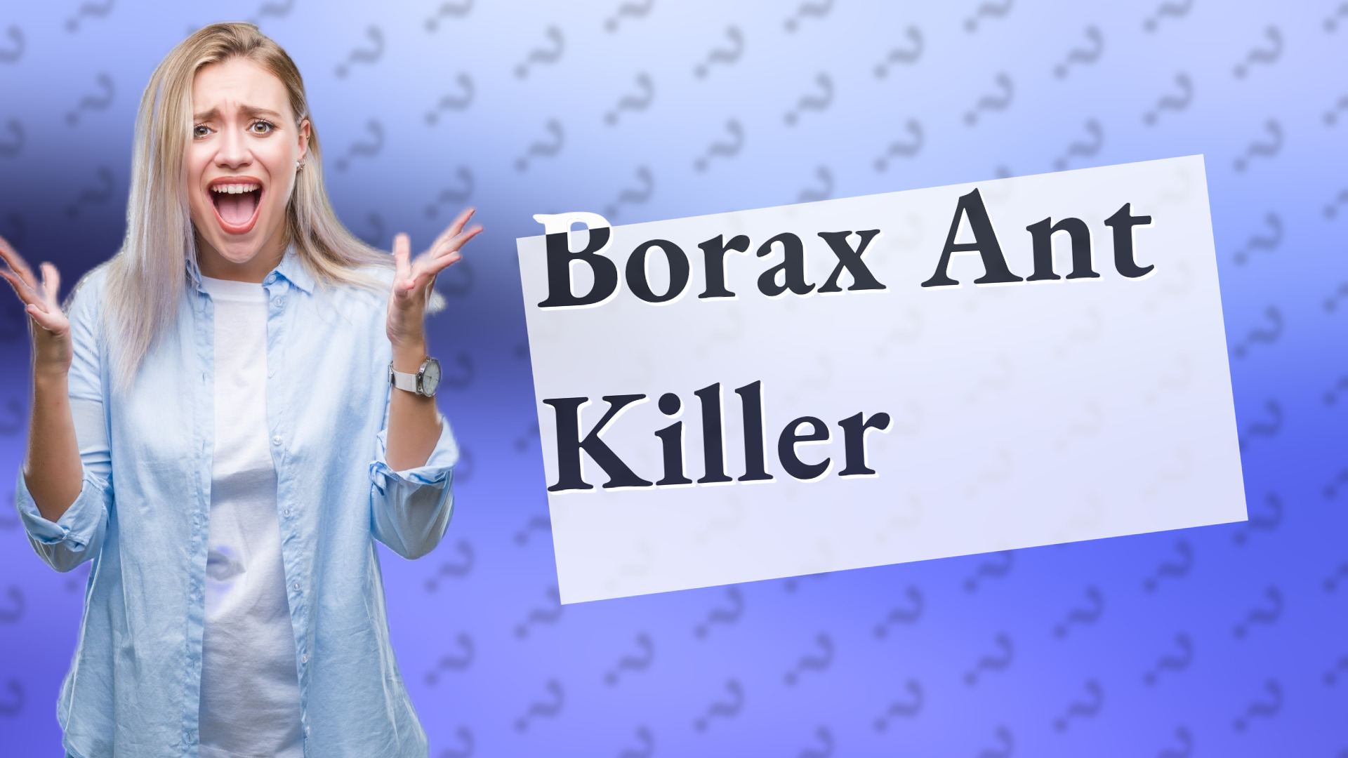 Borax Ant Killer