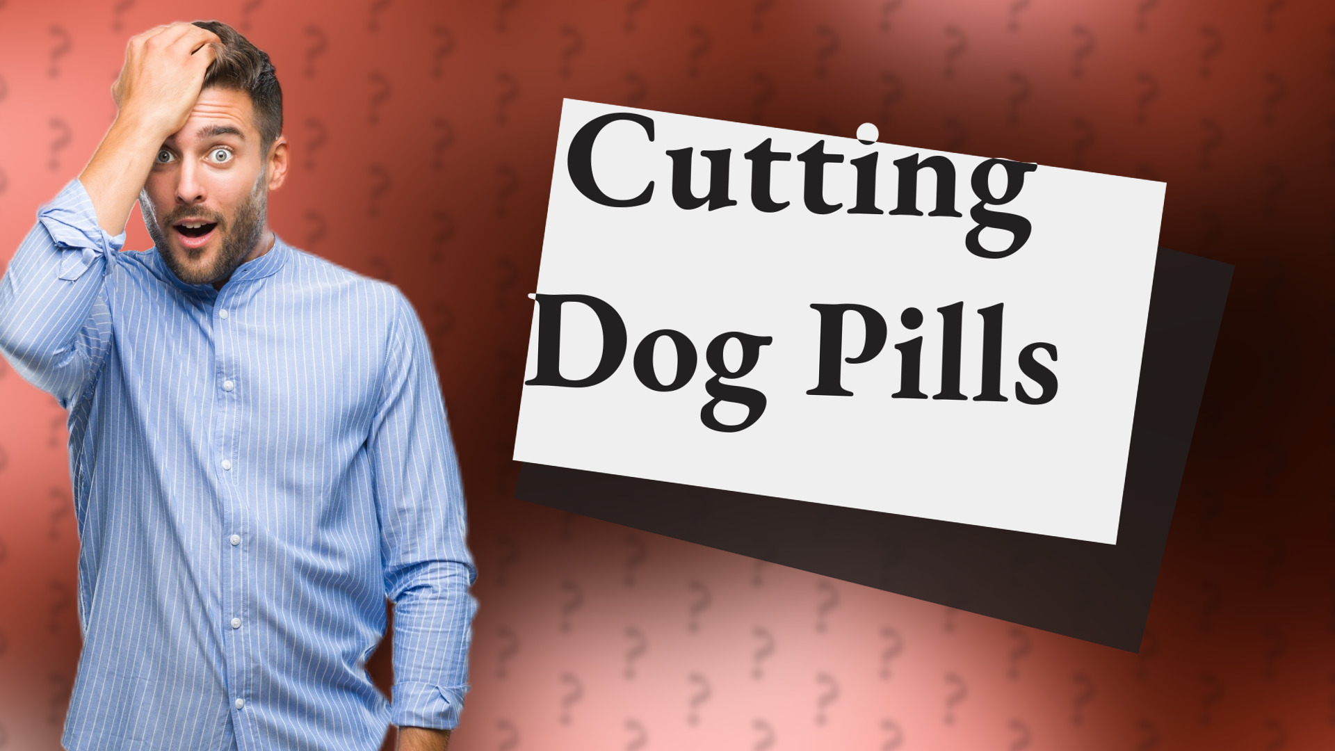 Cutting Dog Pills