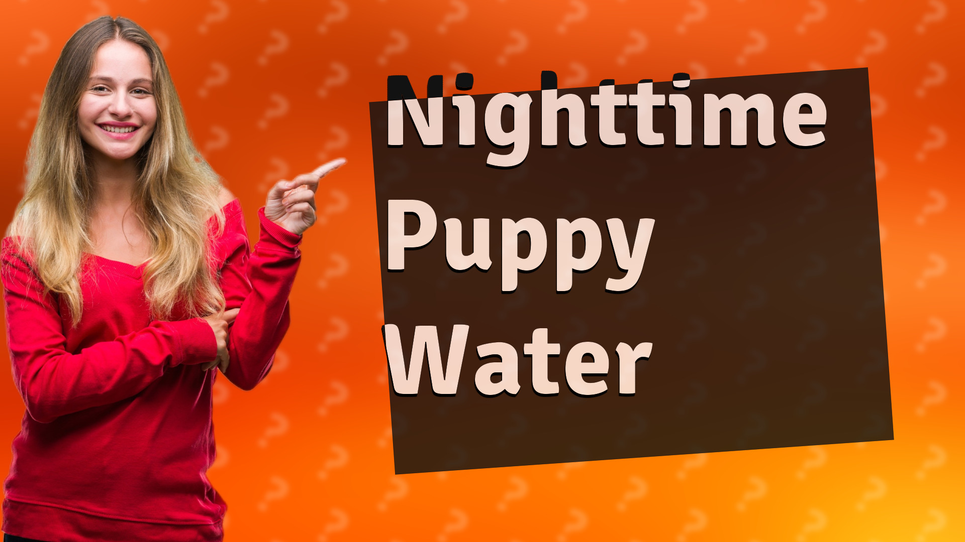 Nighttime Puppy Water