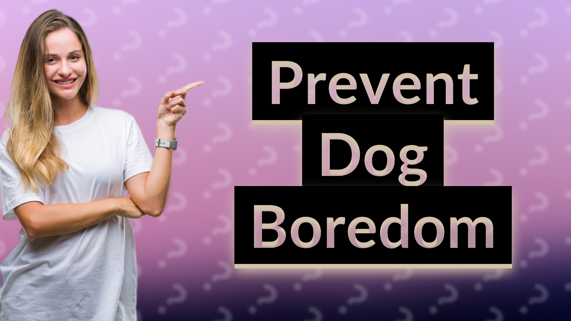Prevent Dog Boredom