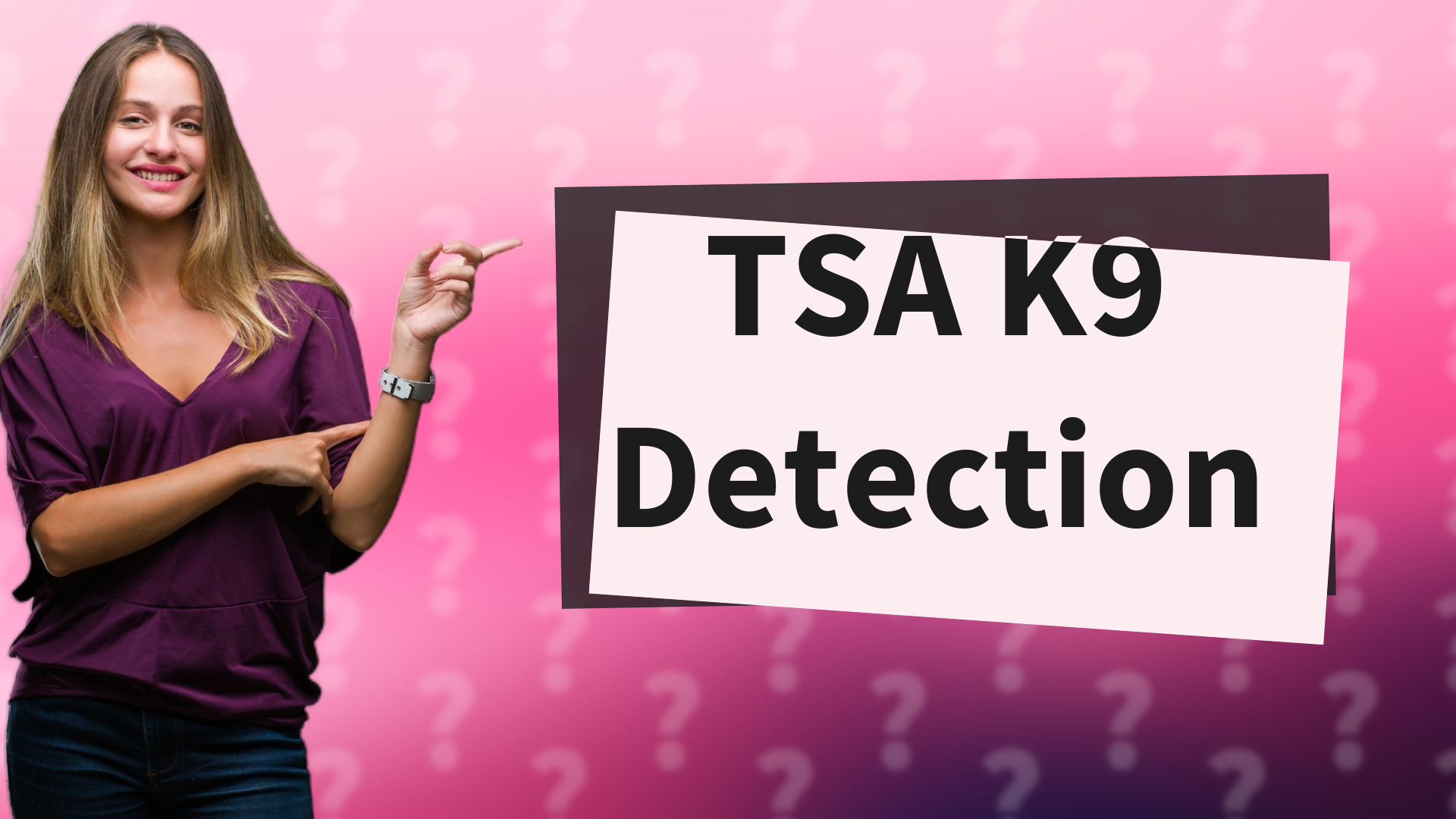 TSA K9 Detection