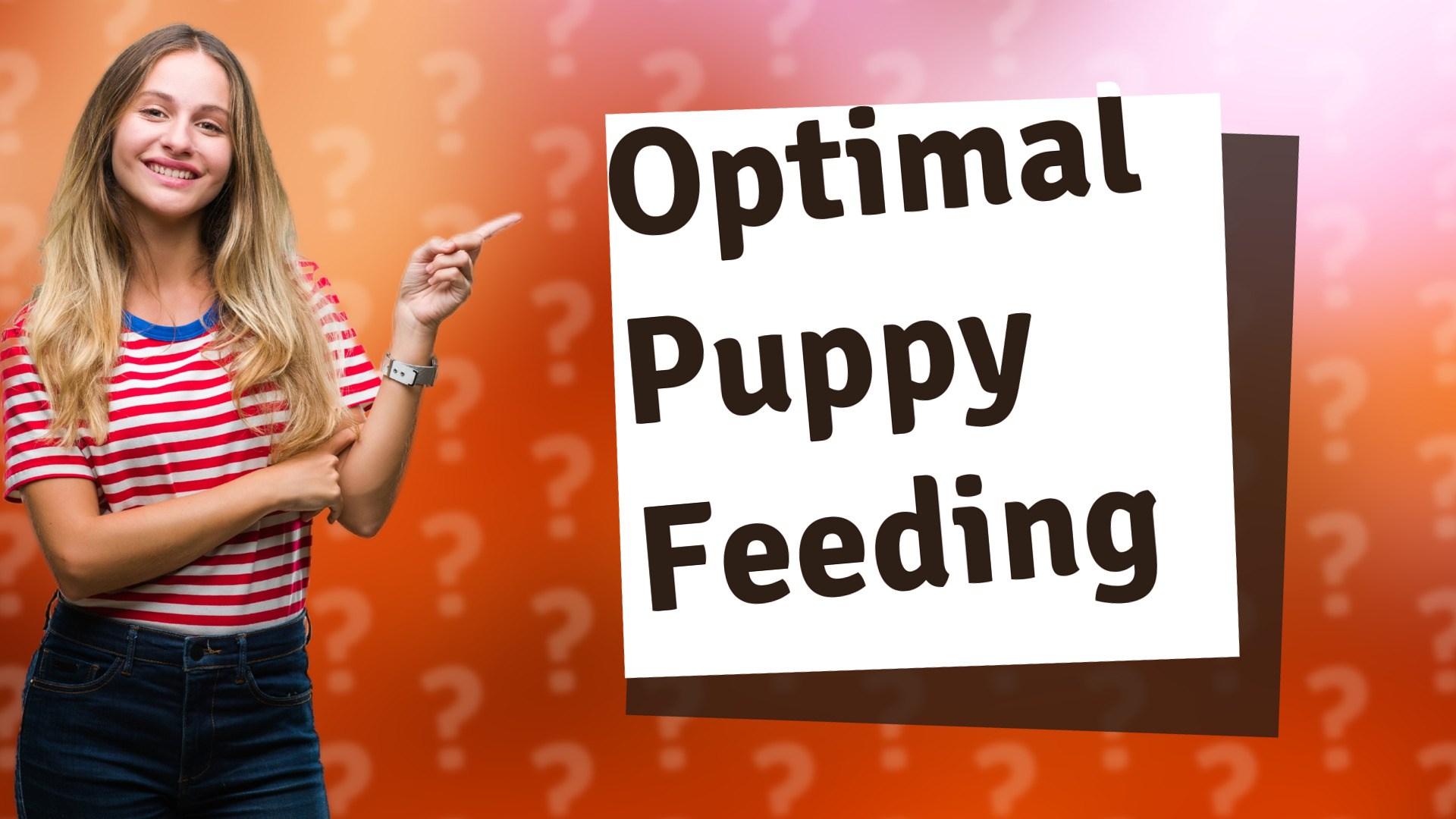 Optimal Puppy Feeding