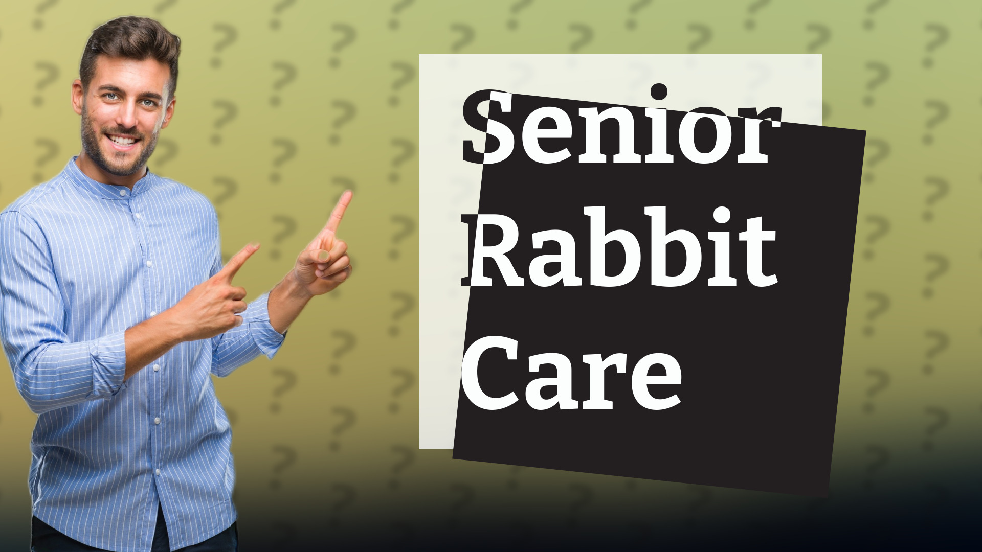 Senior Rabbit Care