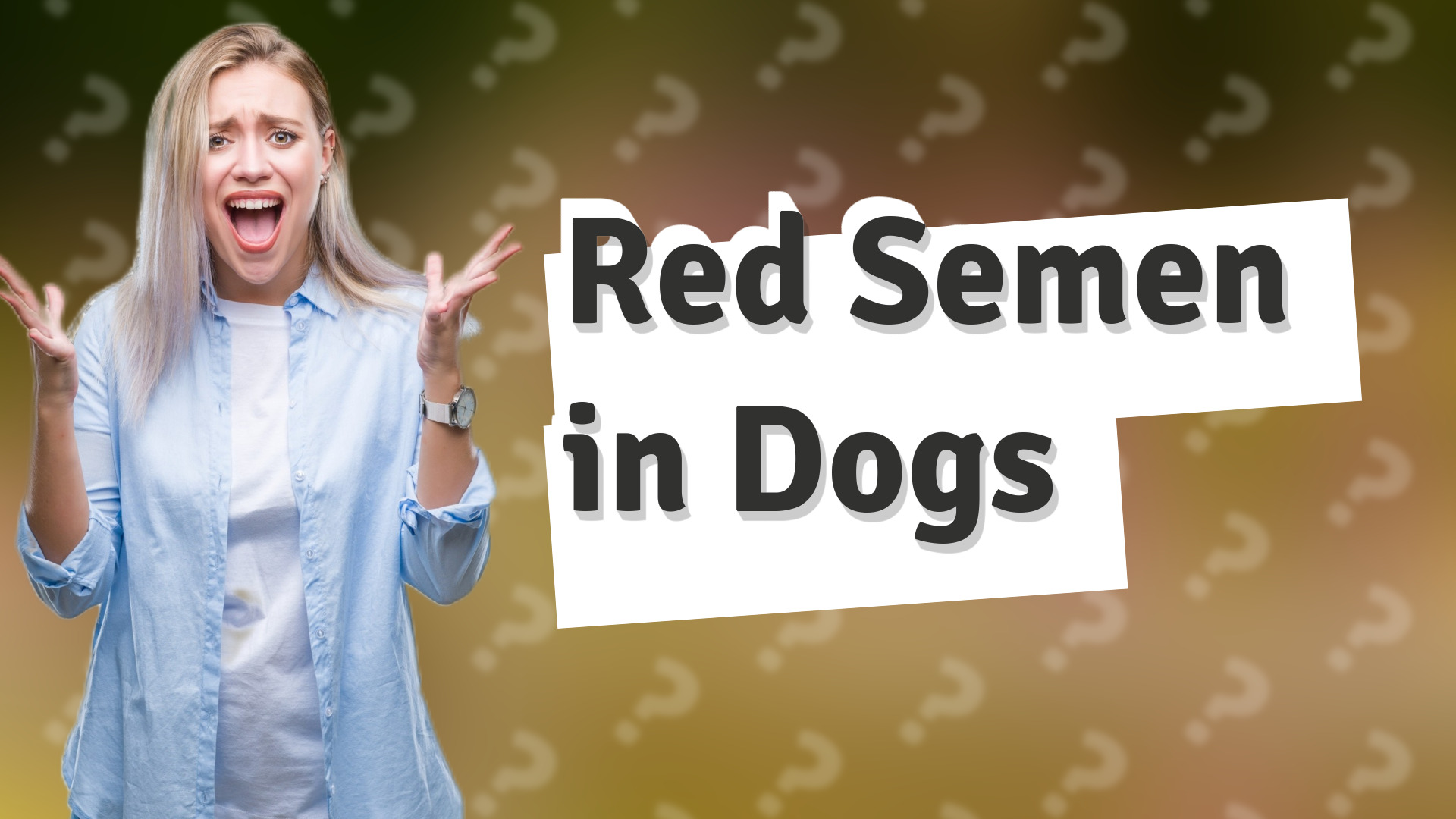 Red Semen in Dogs