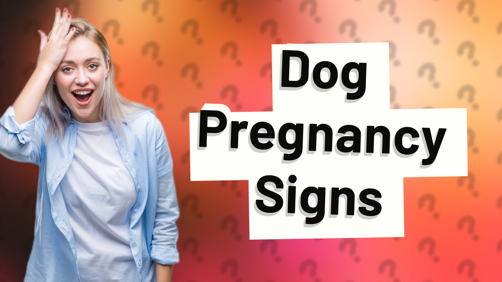 Dog Pregnancy Signs