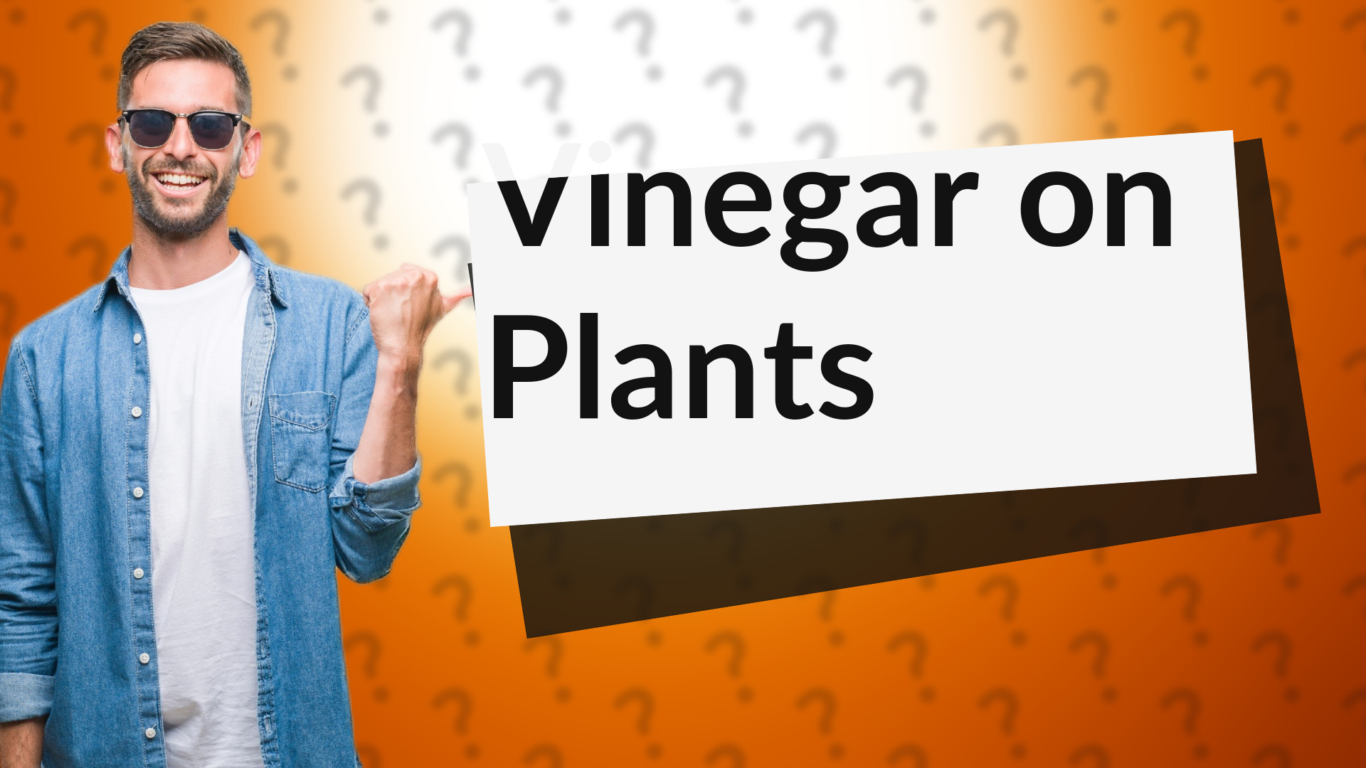 Vinegar on Plants