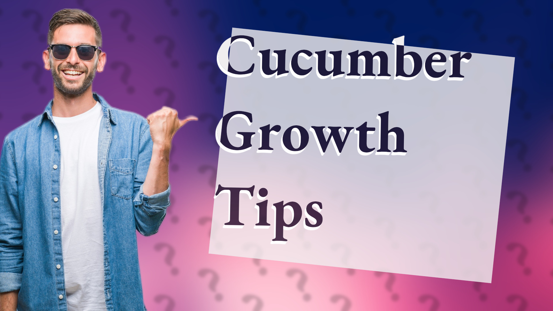 Cucumber Growth Tips