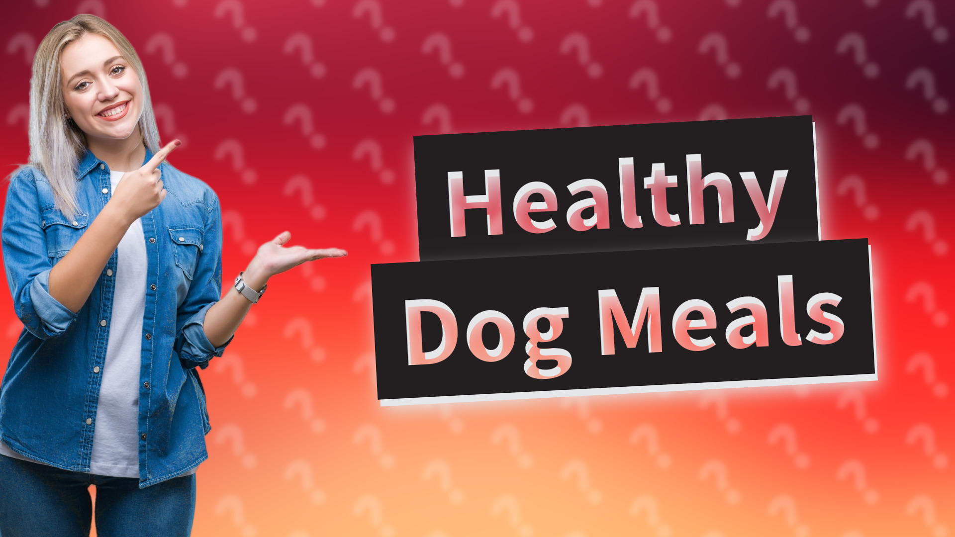Healthy Dog Meals