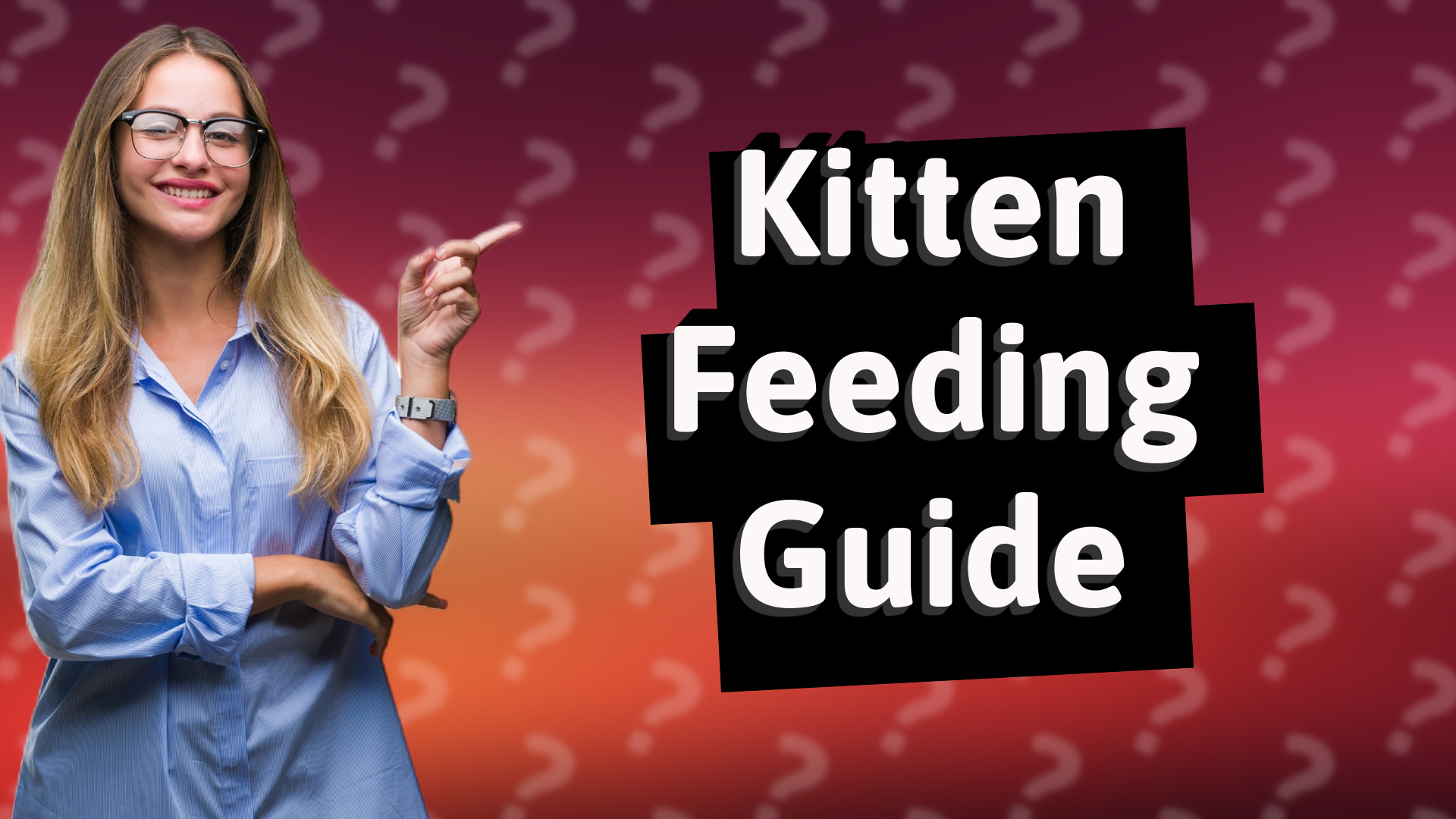 Kitten Feeding Guide