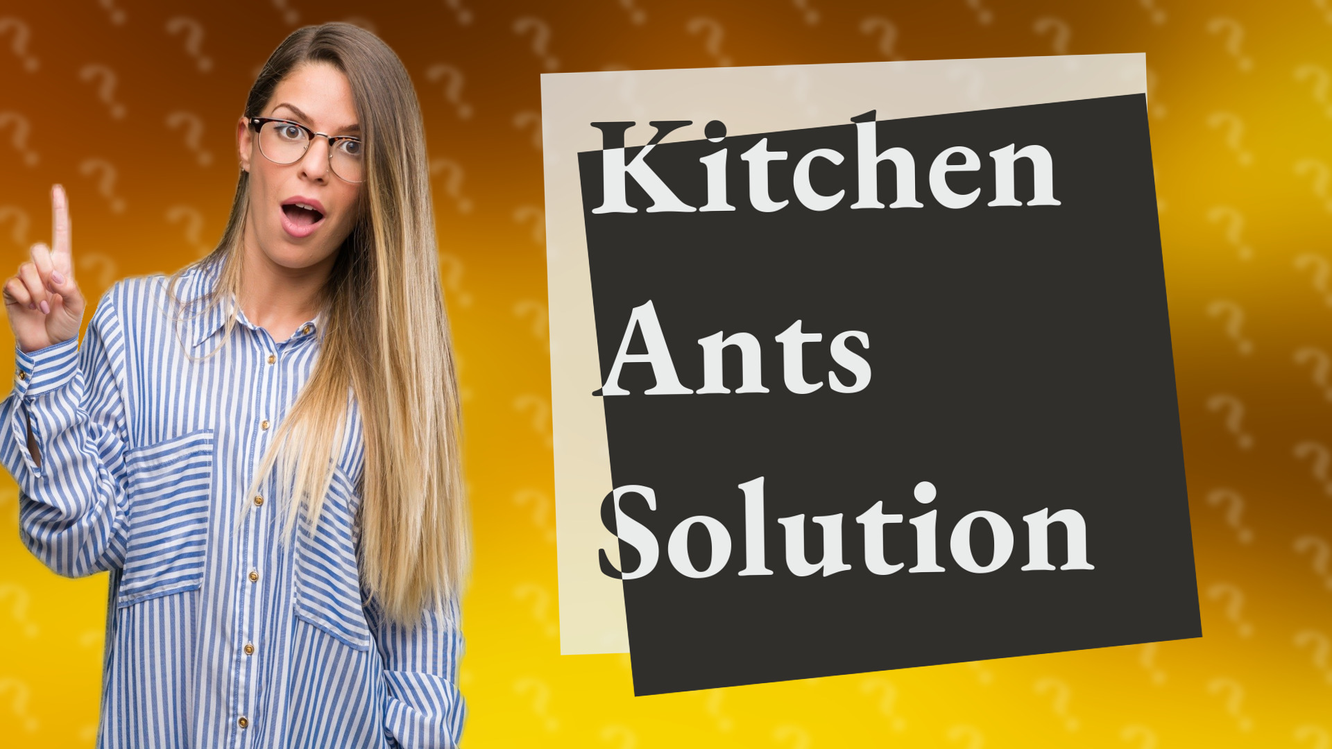 Kitchen Ants Solution