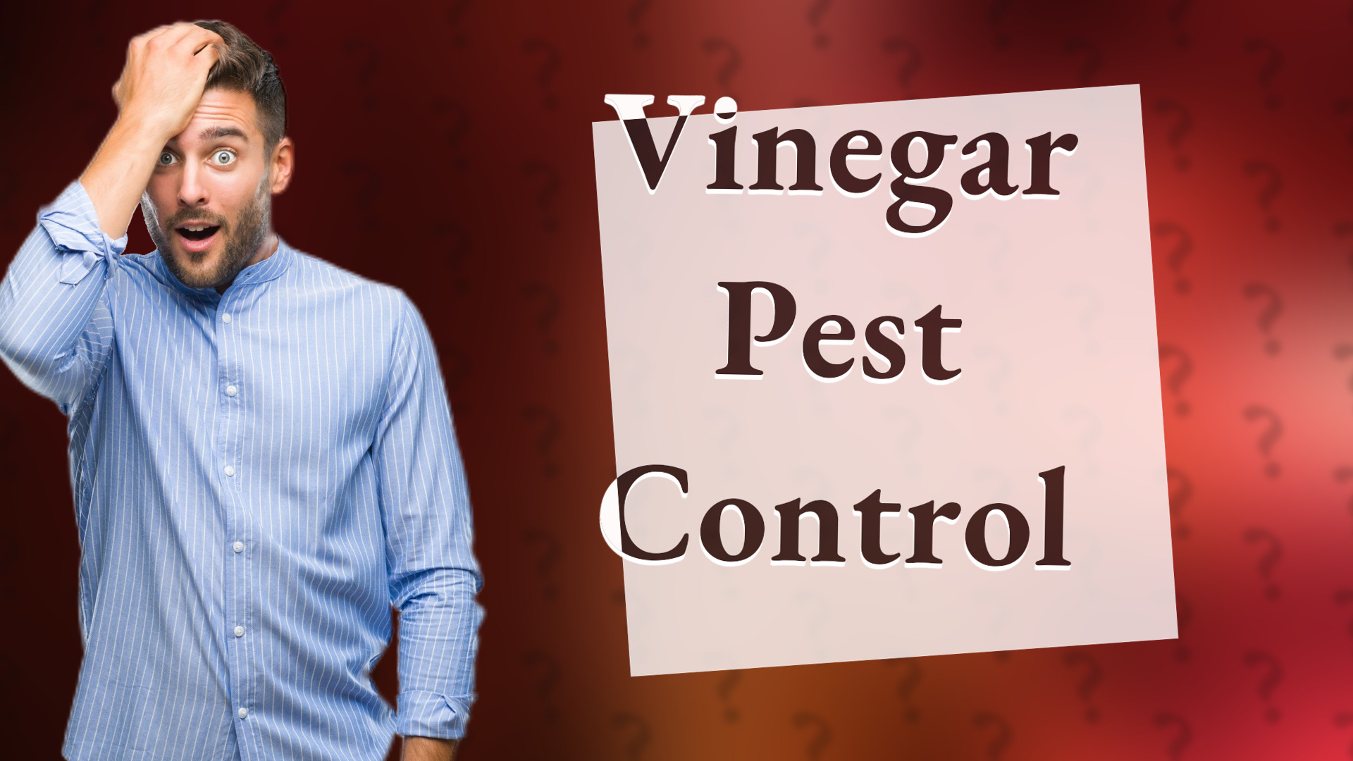 Vinegar Pest Control