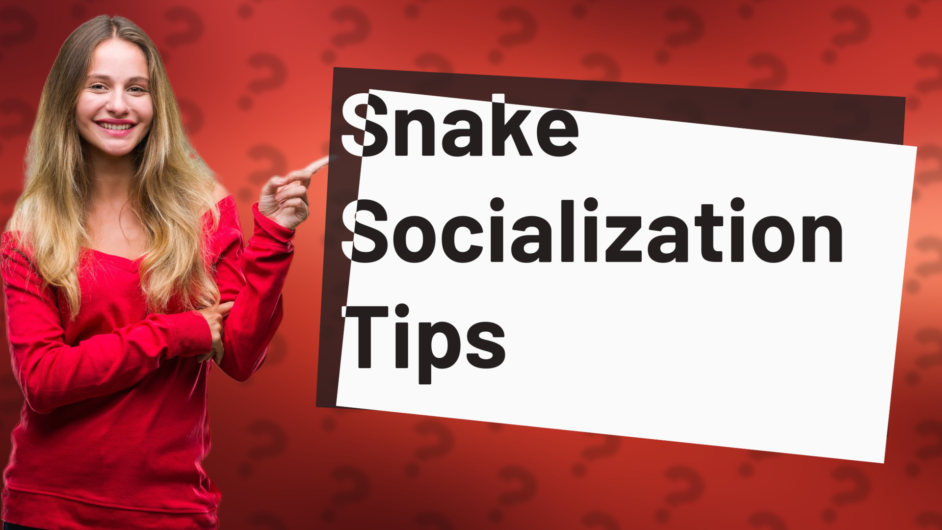 Snake Socialization Tips