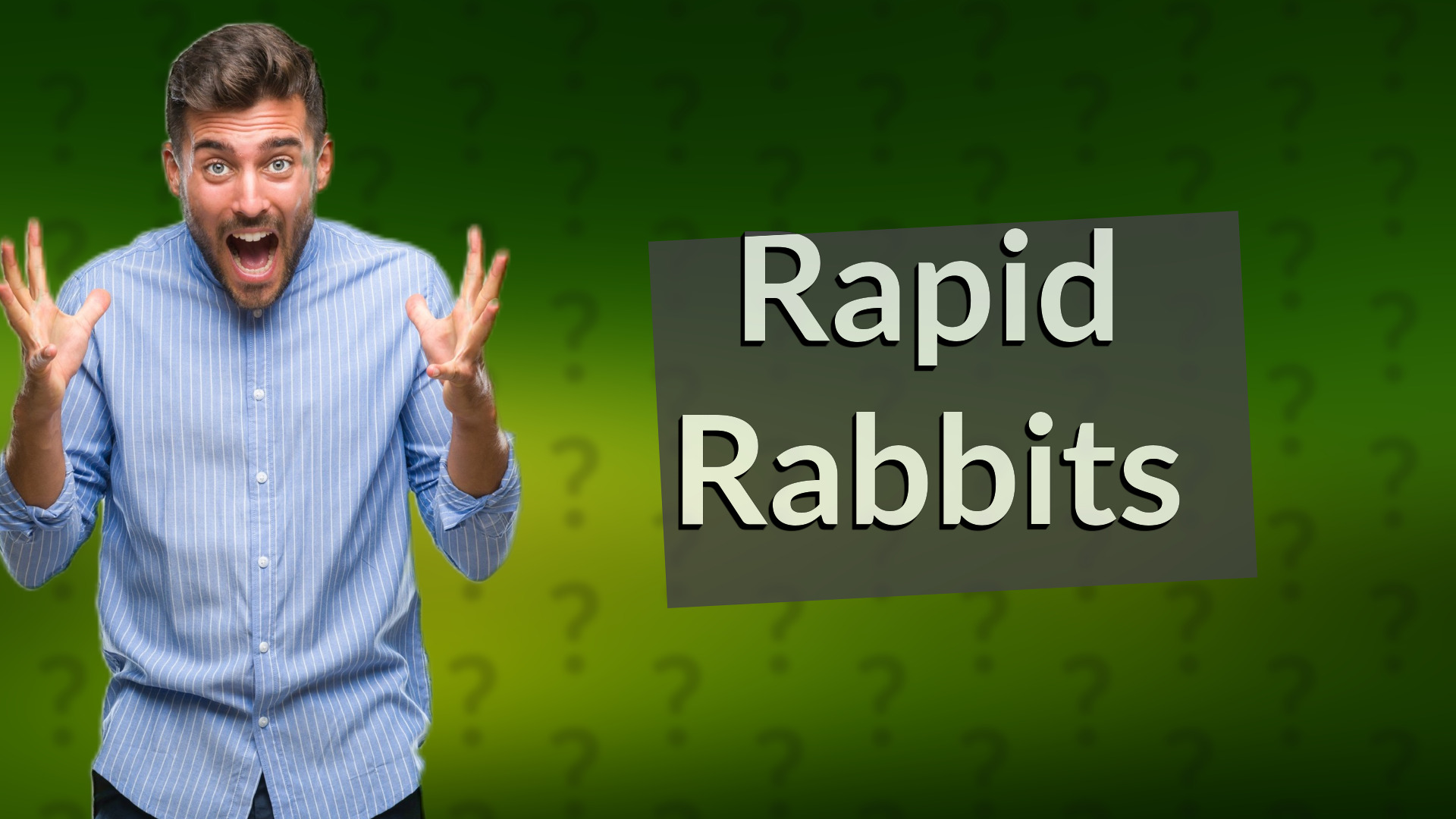 Rapid Rabbits
