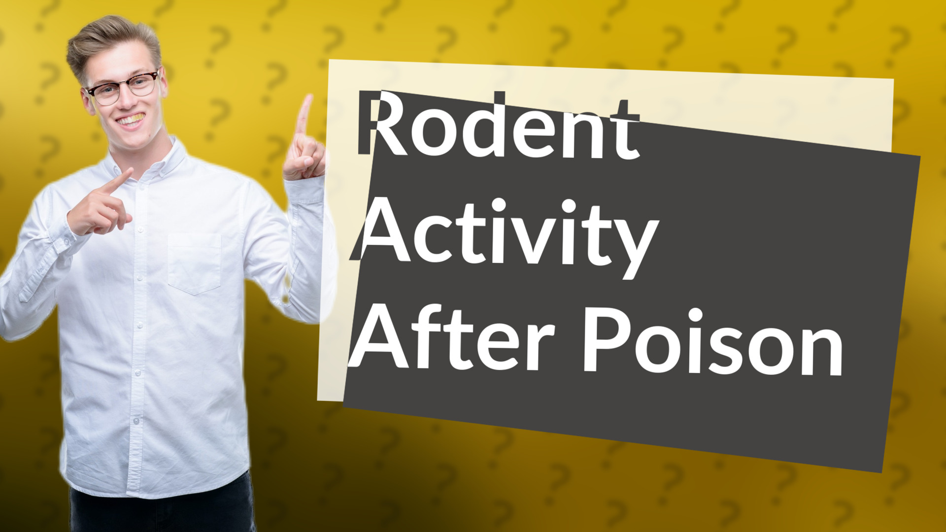 Rodent Activity After Poison