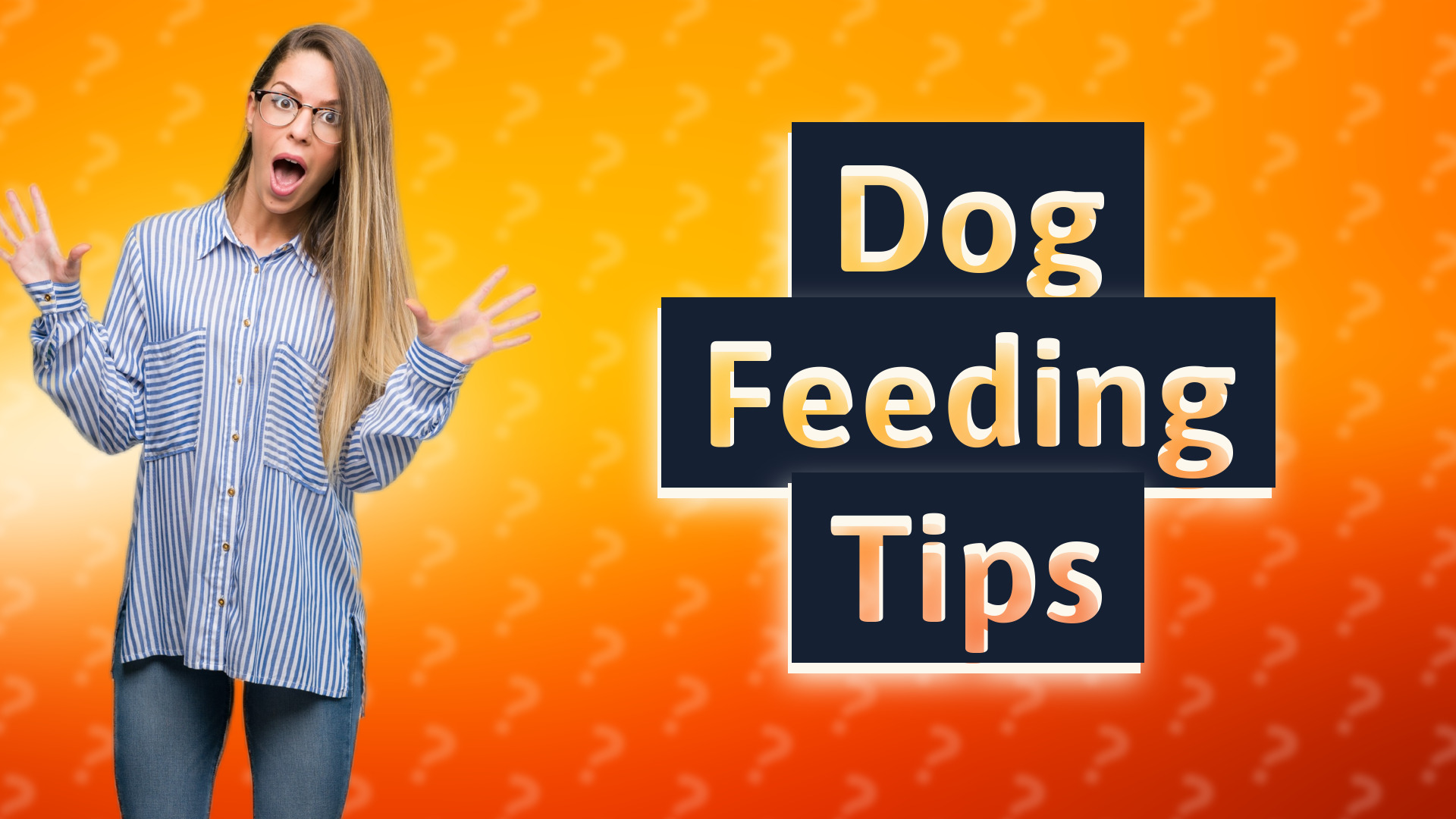 Dog Feeding Tips