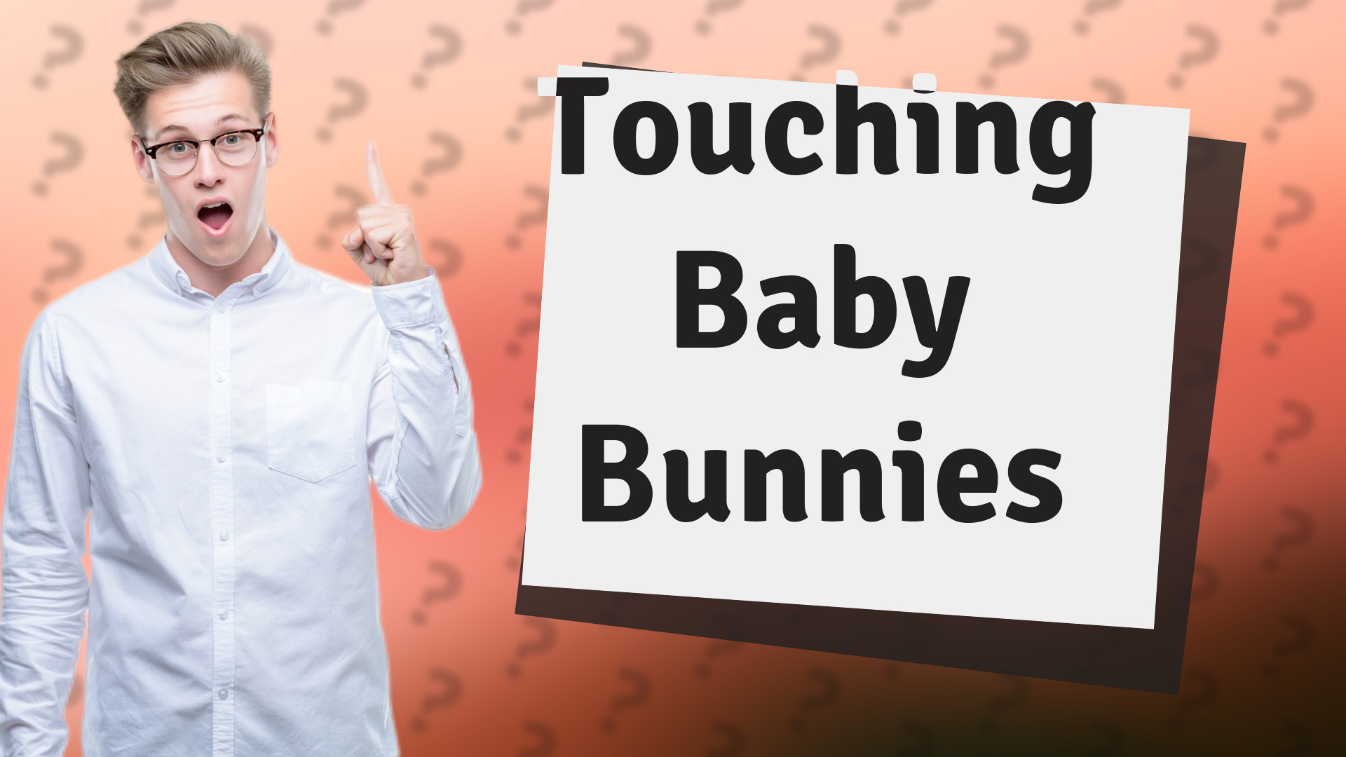 Touching Baby Bunnies