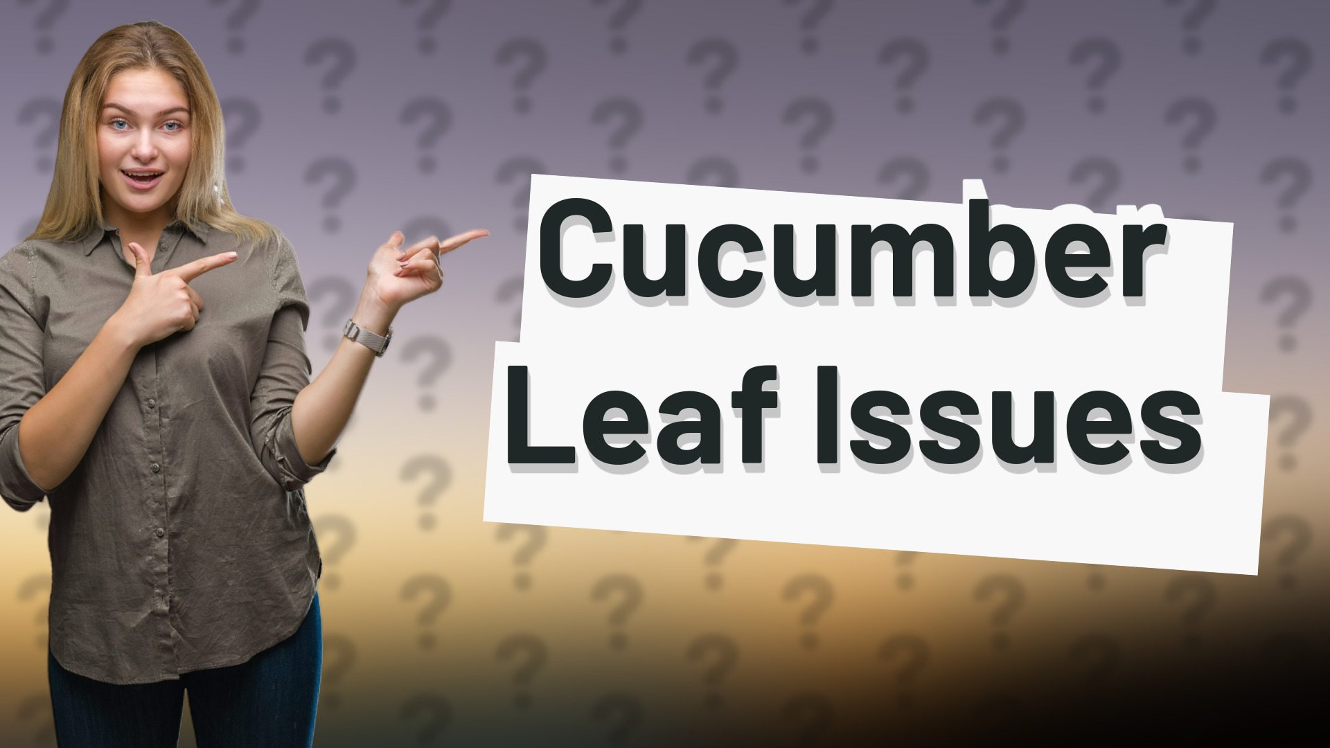 Cucumber Leaf Issues