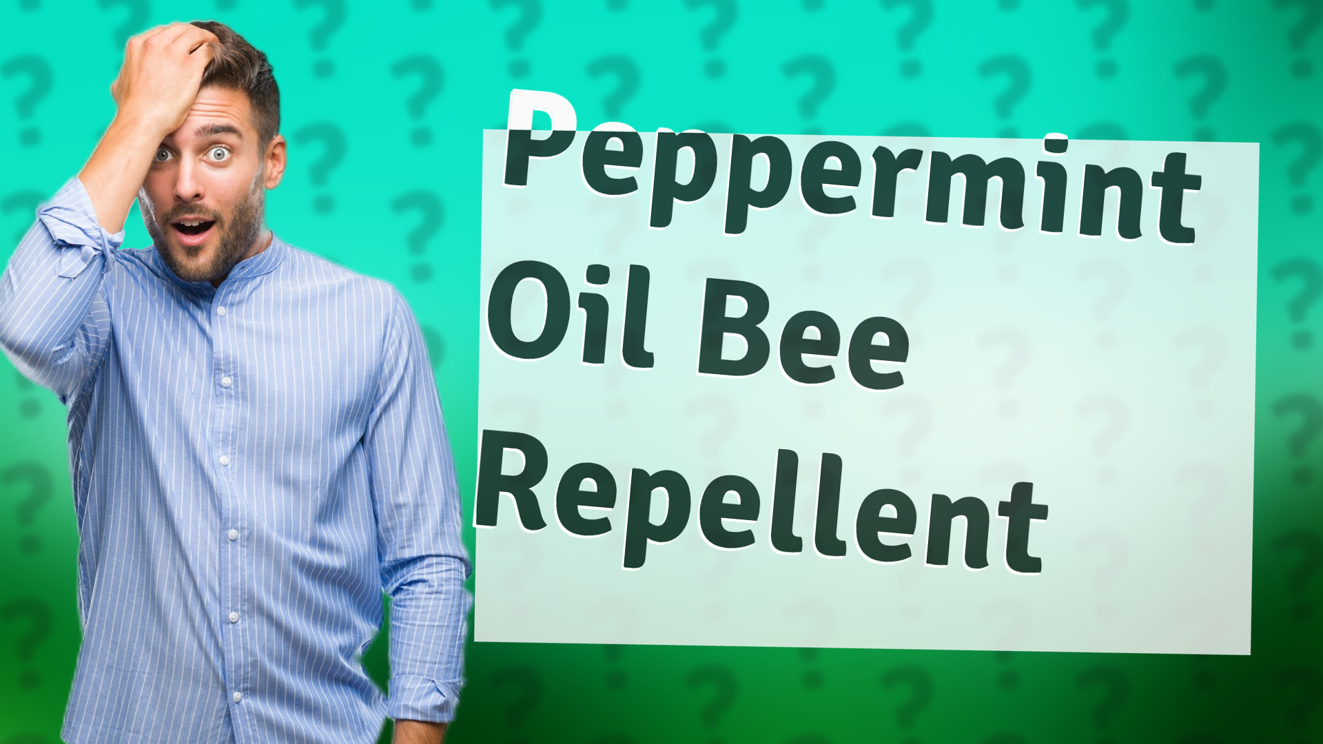 Peppermint Oil Bee Repellent