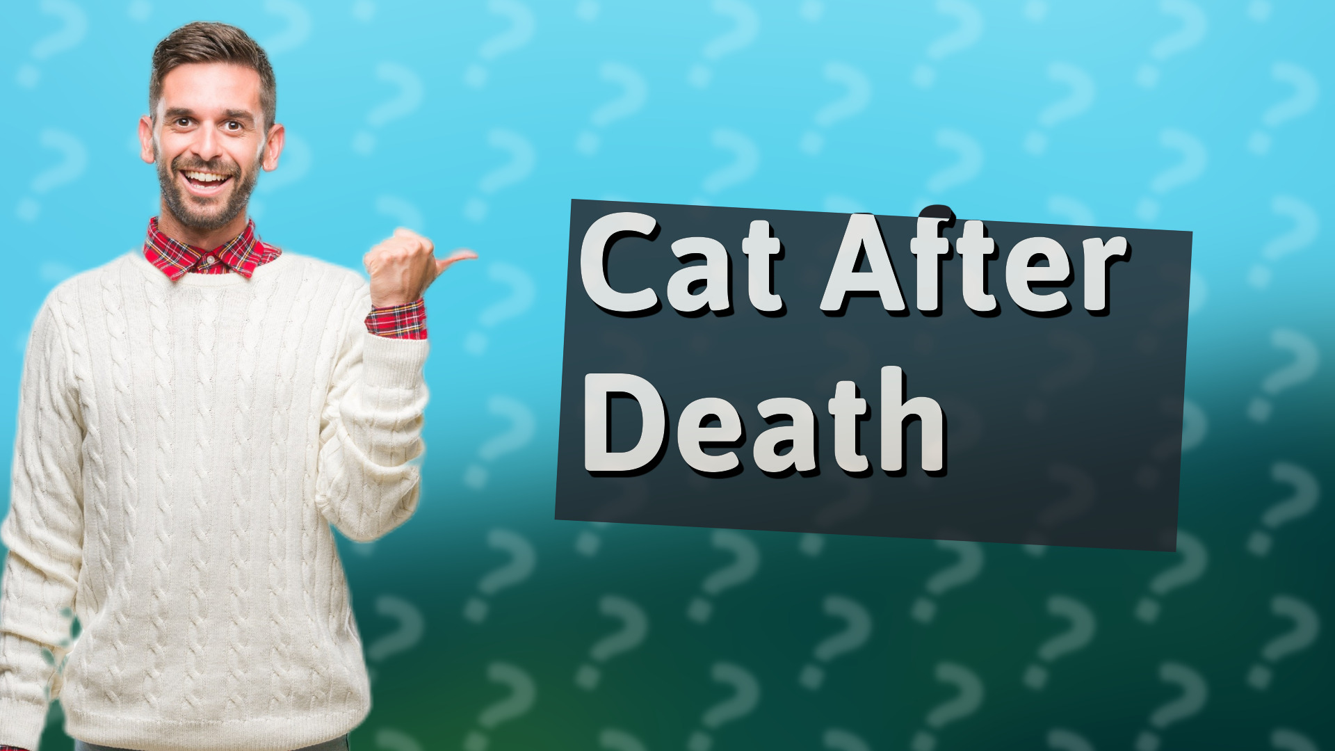 Cat After Death