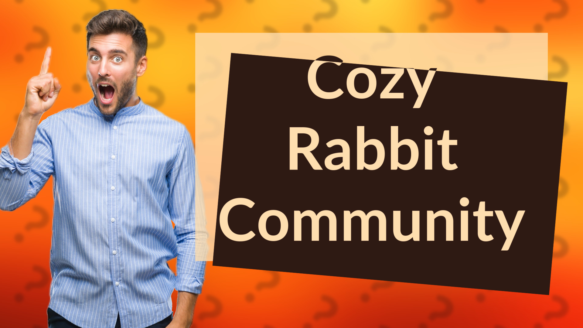 Cozy Rabbit Community