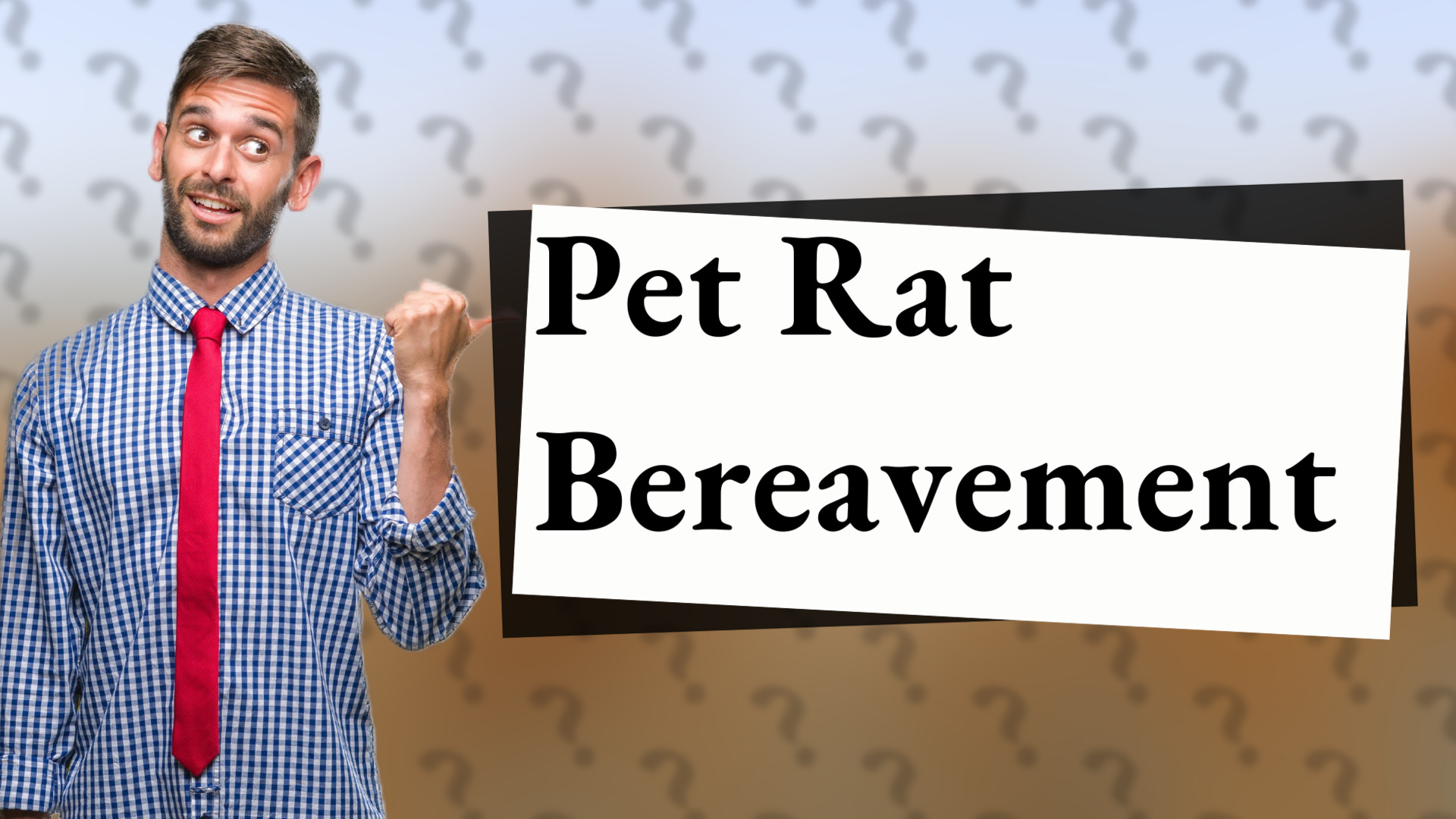 Pet Rat Bereavement