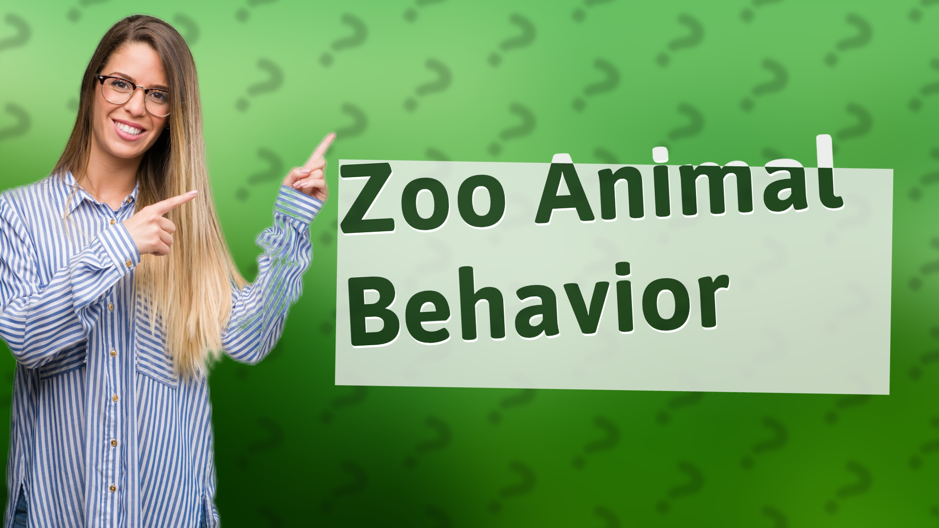 Zoo Animal Behavior