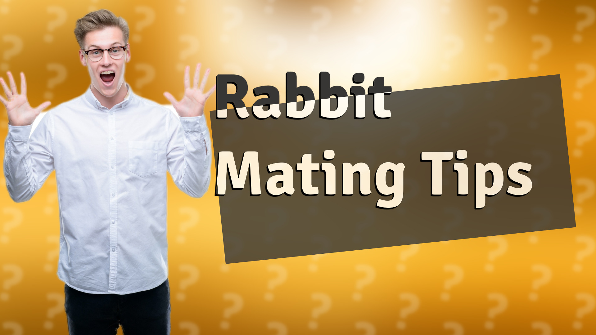 Rabbit Mating Tips
