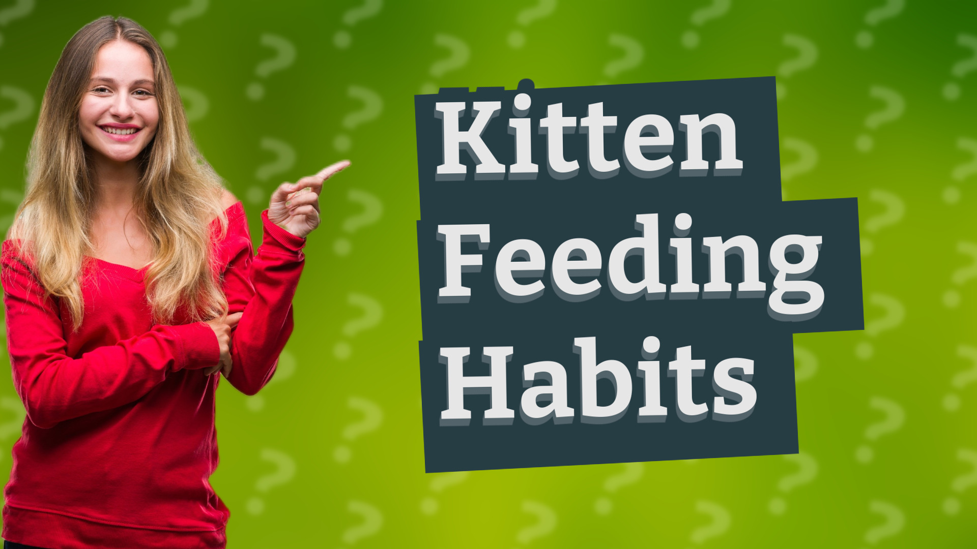 Kitten Feeding Habits