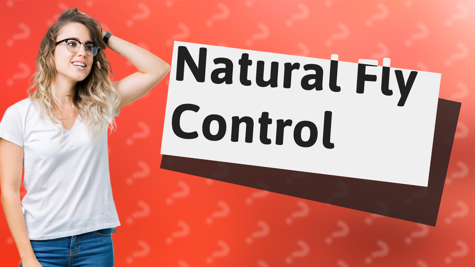 Natural Fly Control