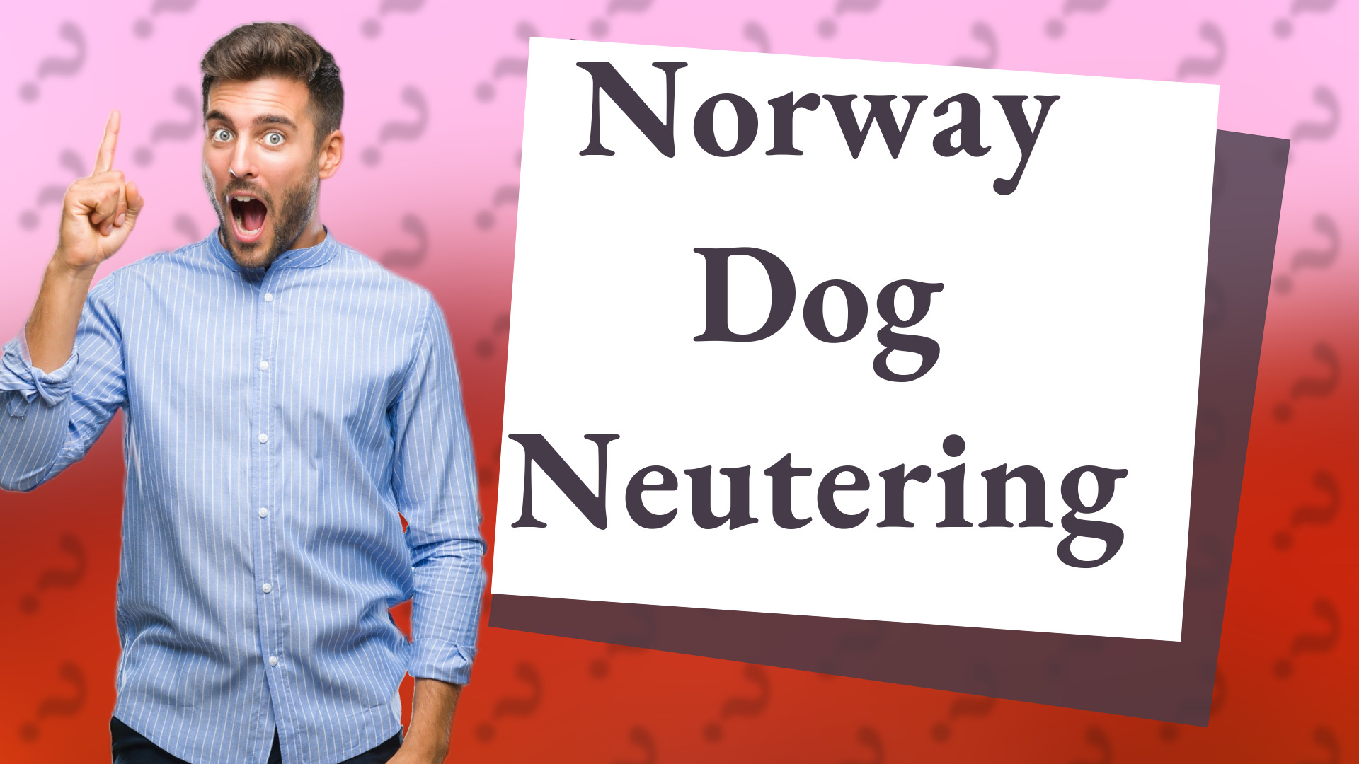 Norway Dog Neutering