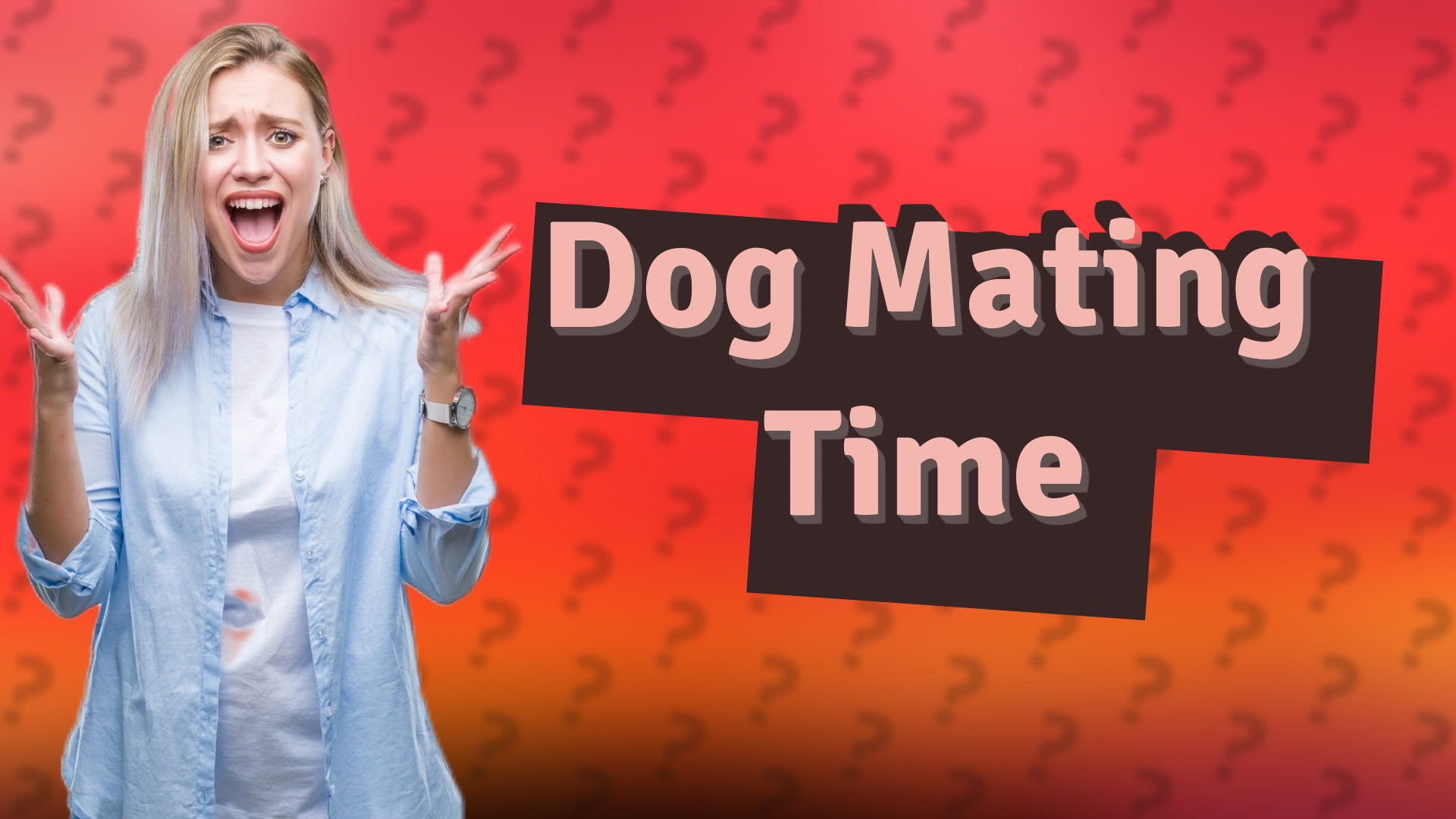 Dog Mating Time