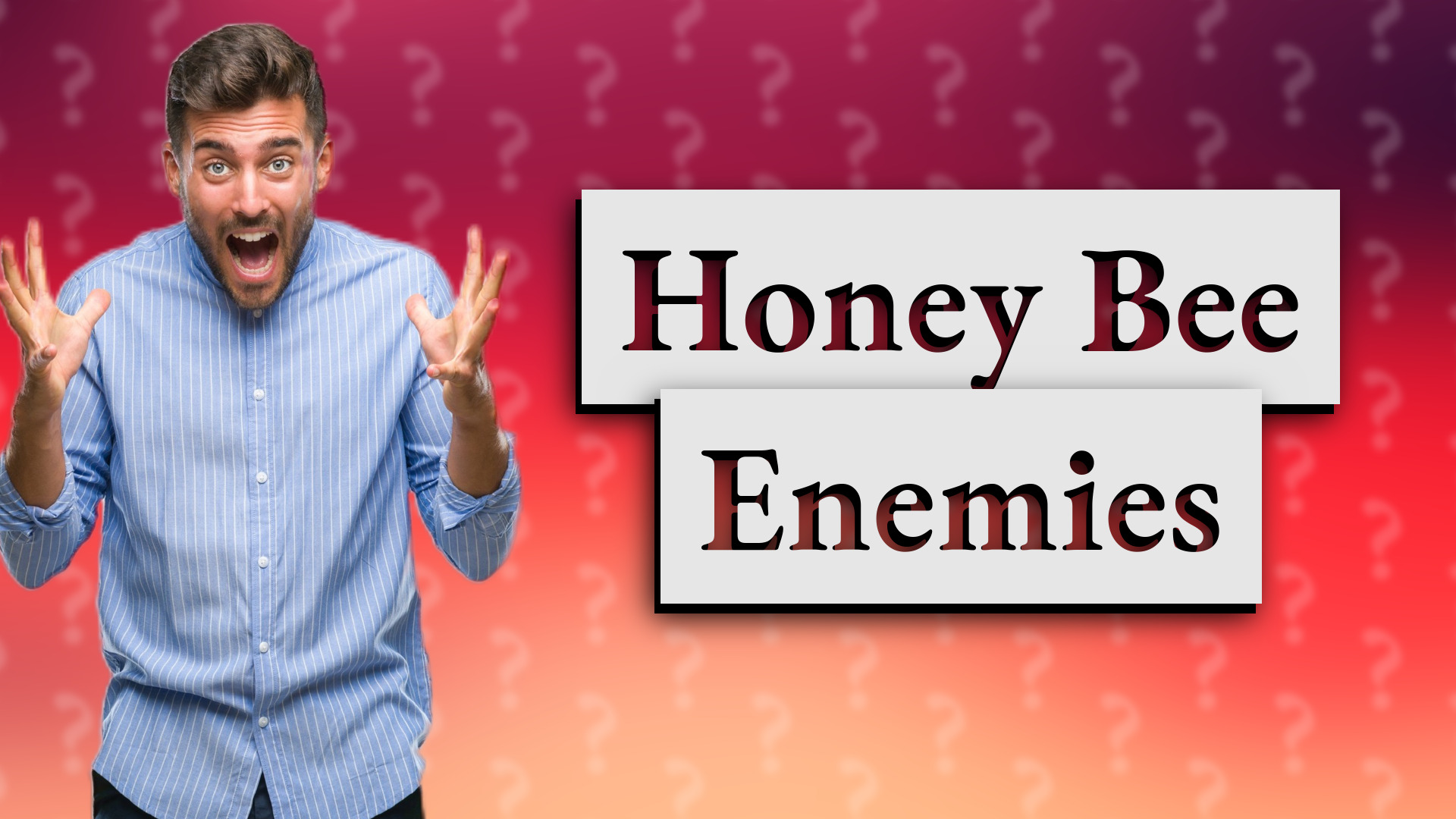 Honey Bee Enemies
