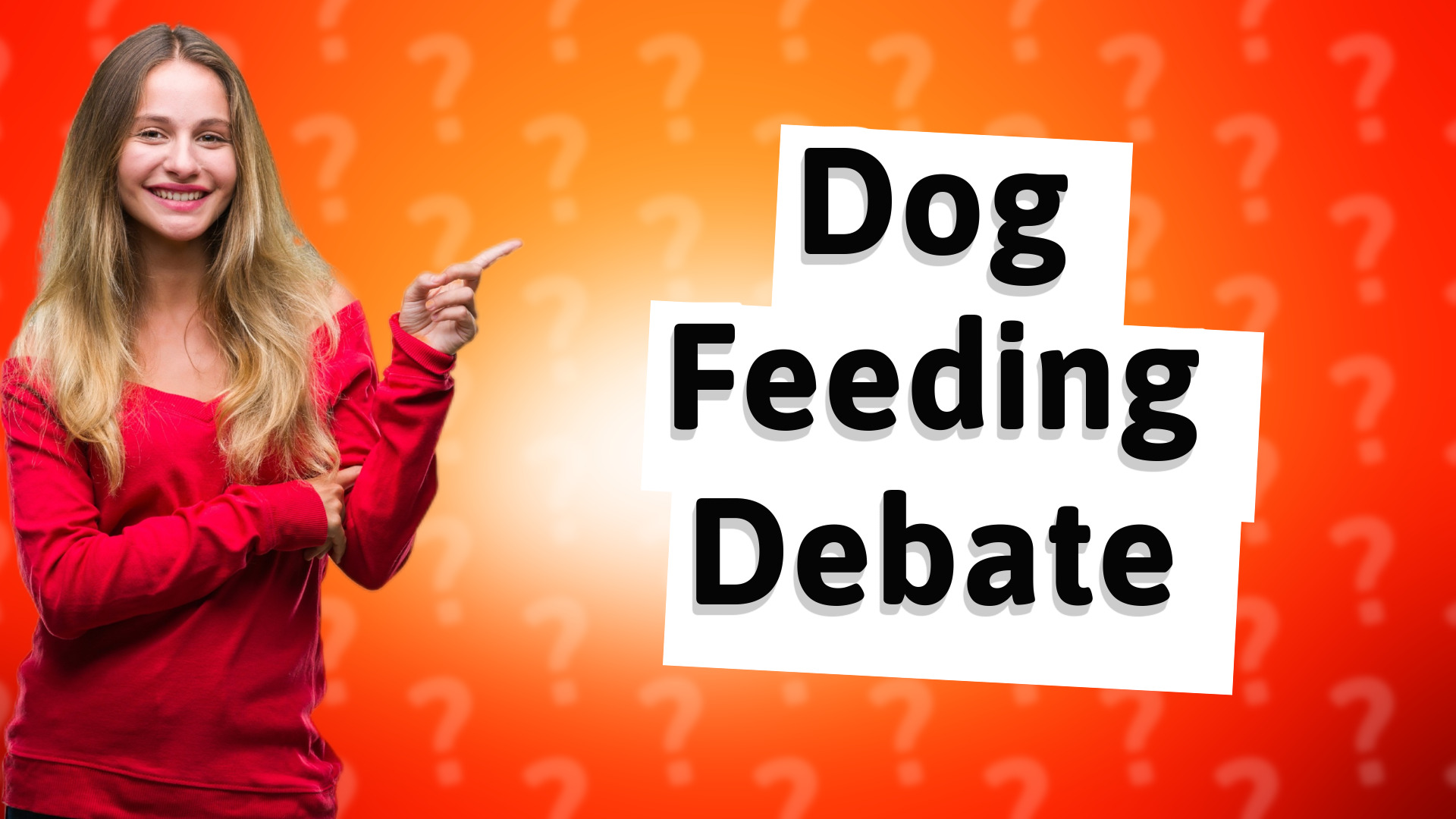 Dog Feeding Debate