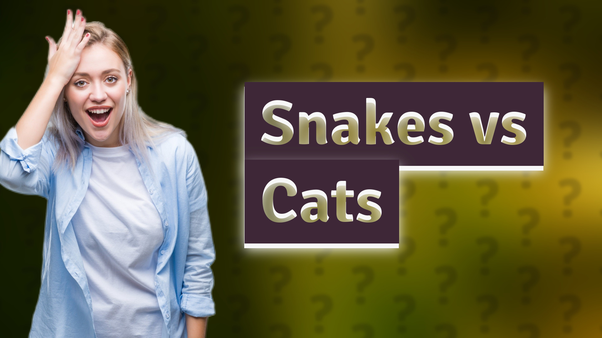 Snakes vs Cats